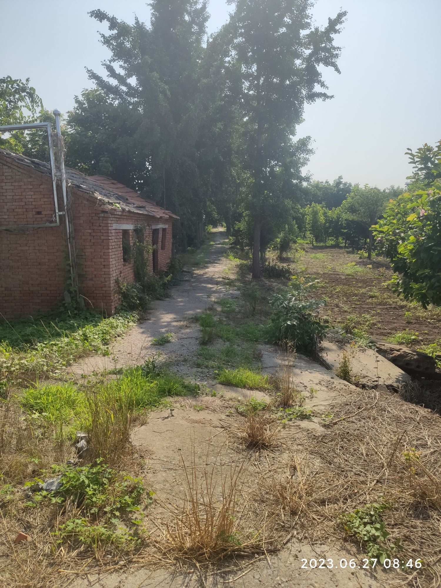 白鹭公园旅行图片 1