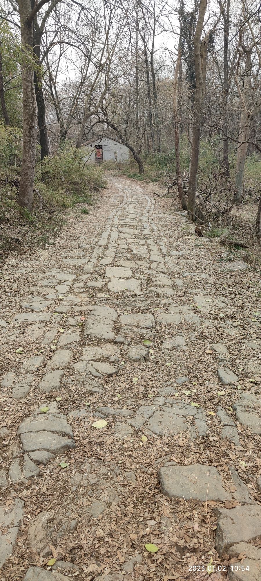 清流关旅行图片 2