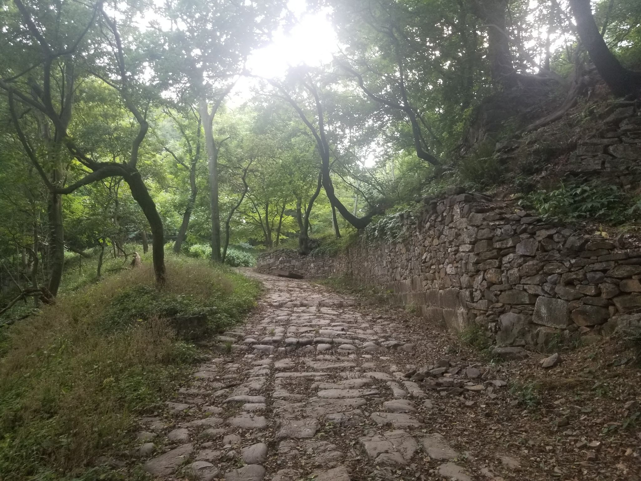 清流关旅行图片 1