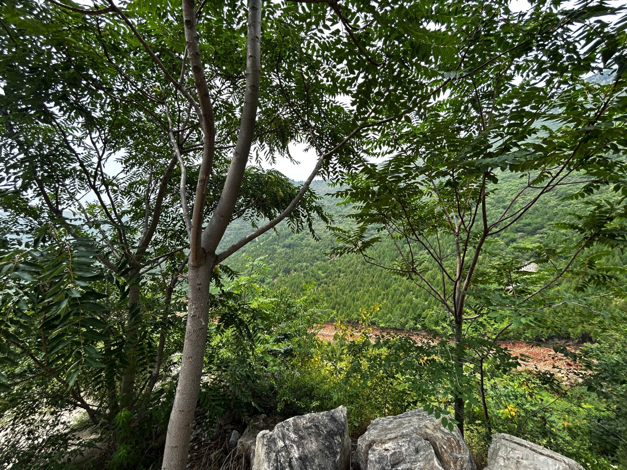 京东龙泉谷旅游景区旅行图片 3