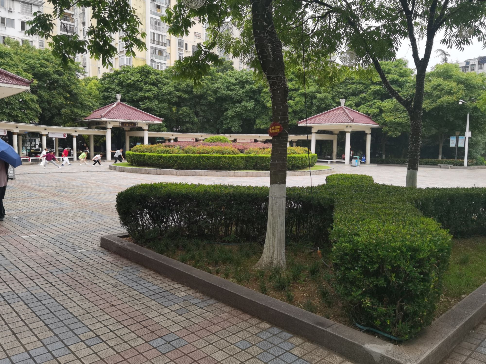 陈家湾广场旅行图片 1