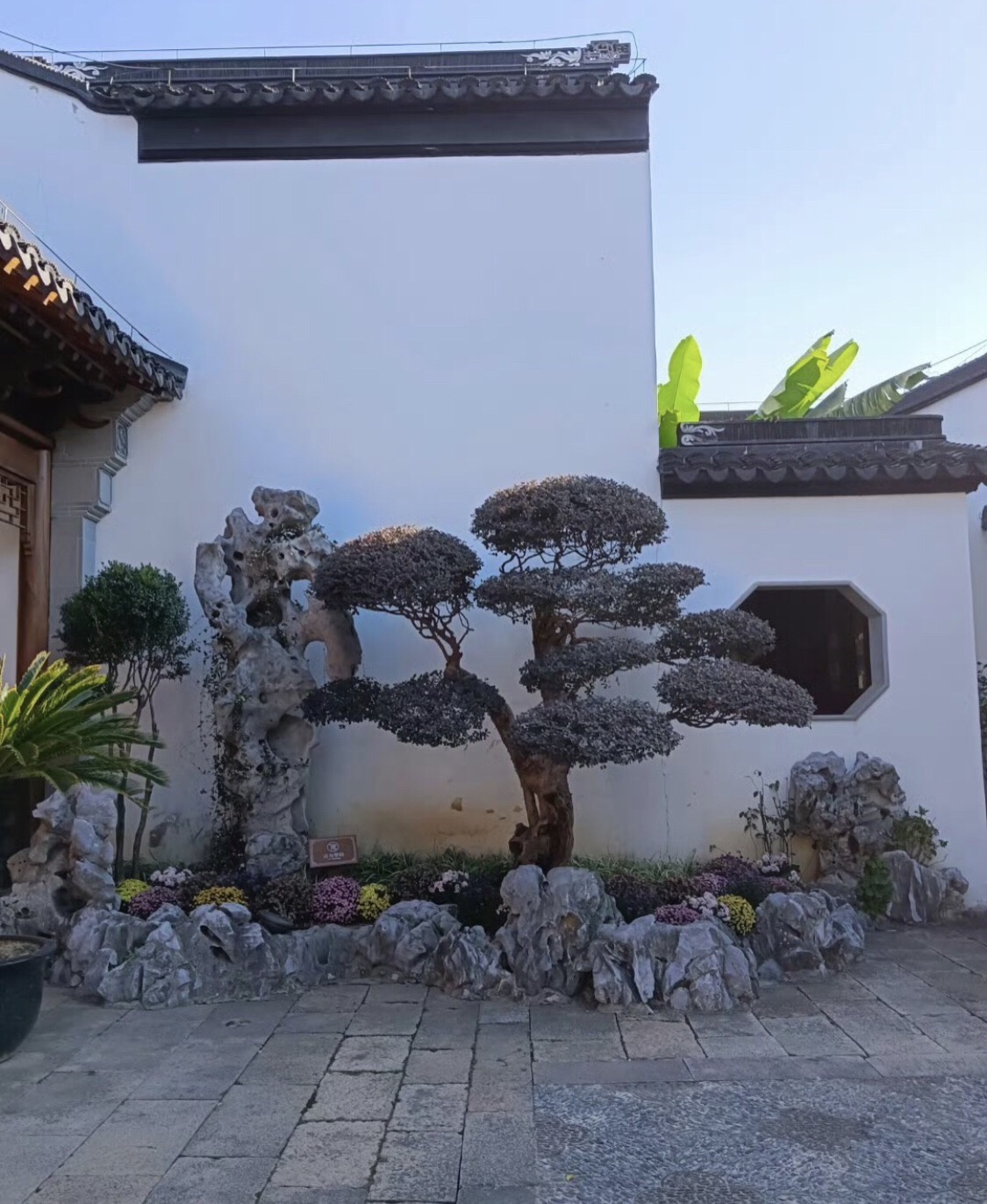 柴园旅行图片 3