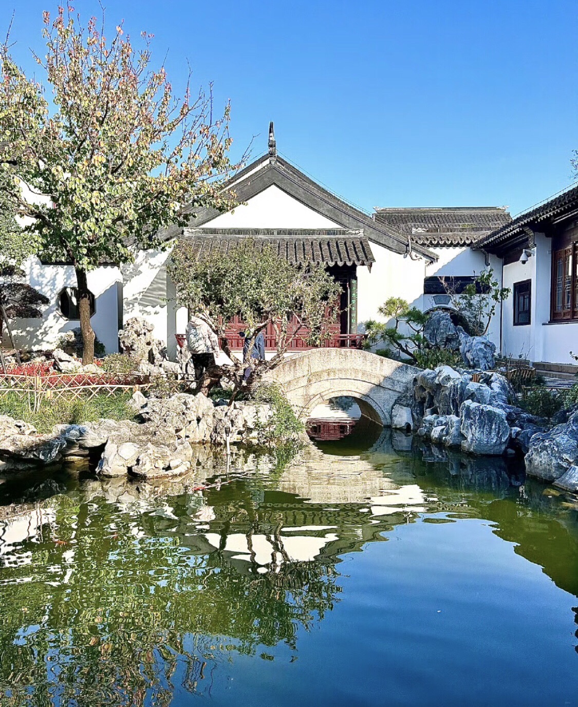 柴园旅行图片 2