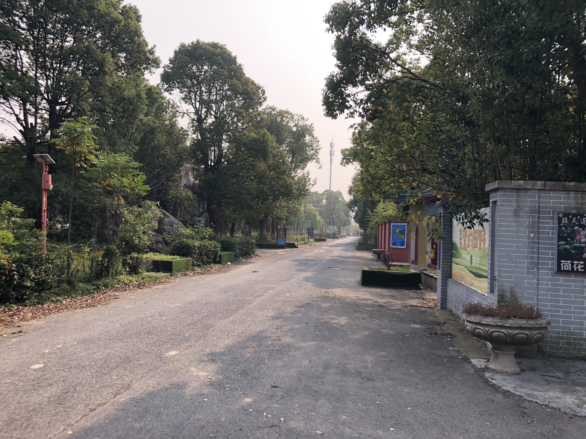 中华红枫园旅行图片 3