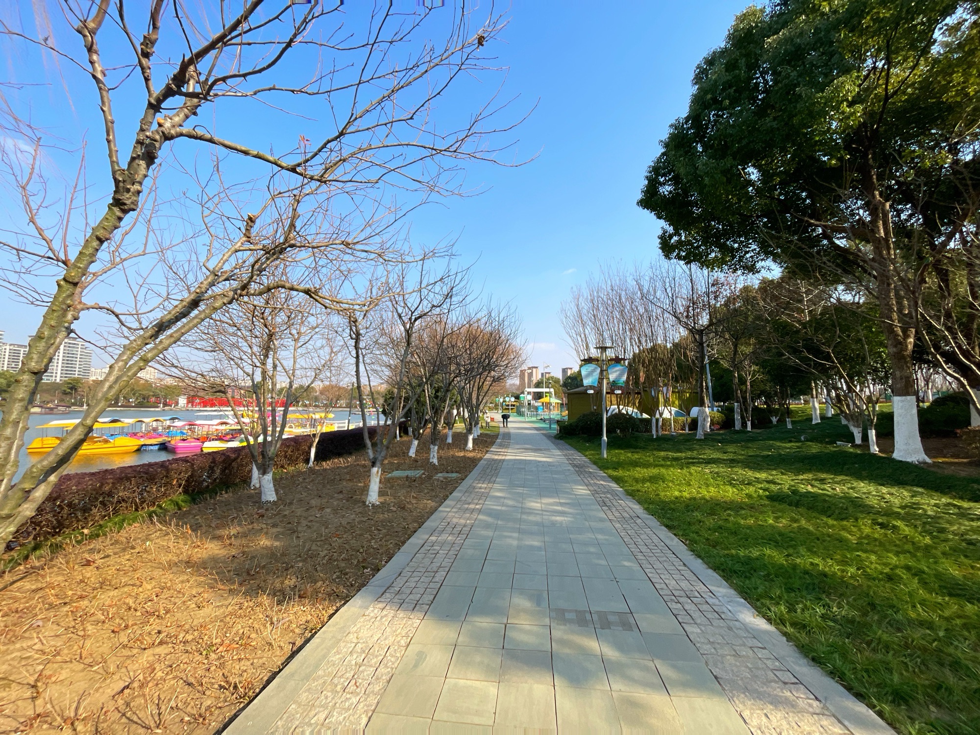 燕湖公园旅行图片 3