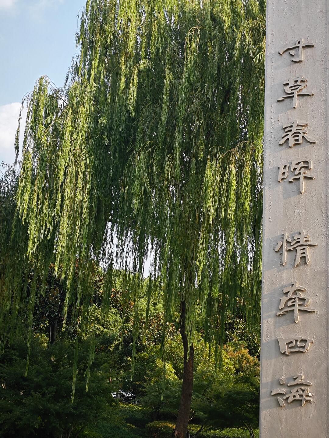 燕湖公园旅行图片 3