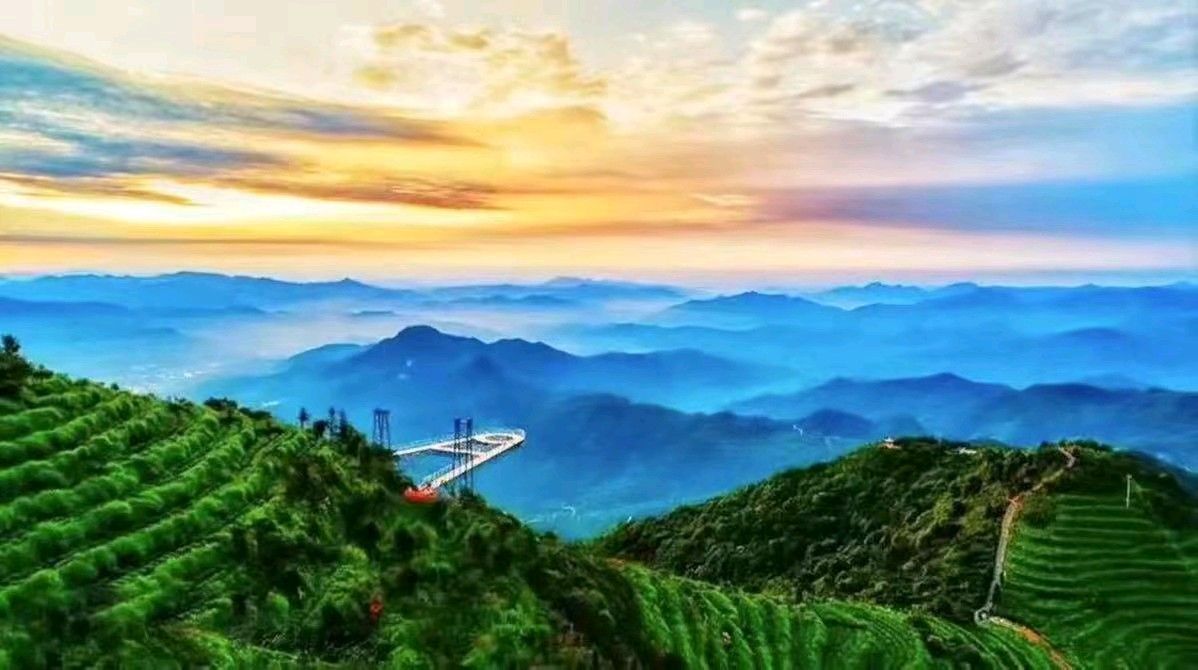 国心绿谷生态茶庄园旅行图片 2