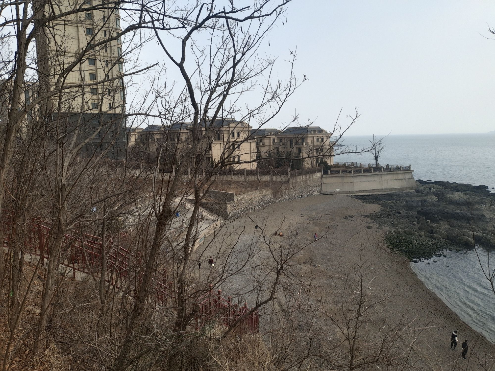 滨海路西段木栈道旅行图片 1