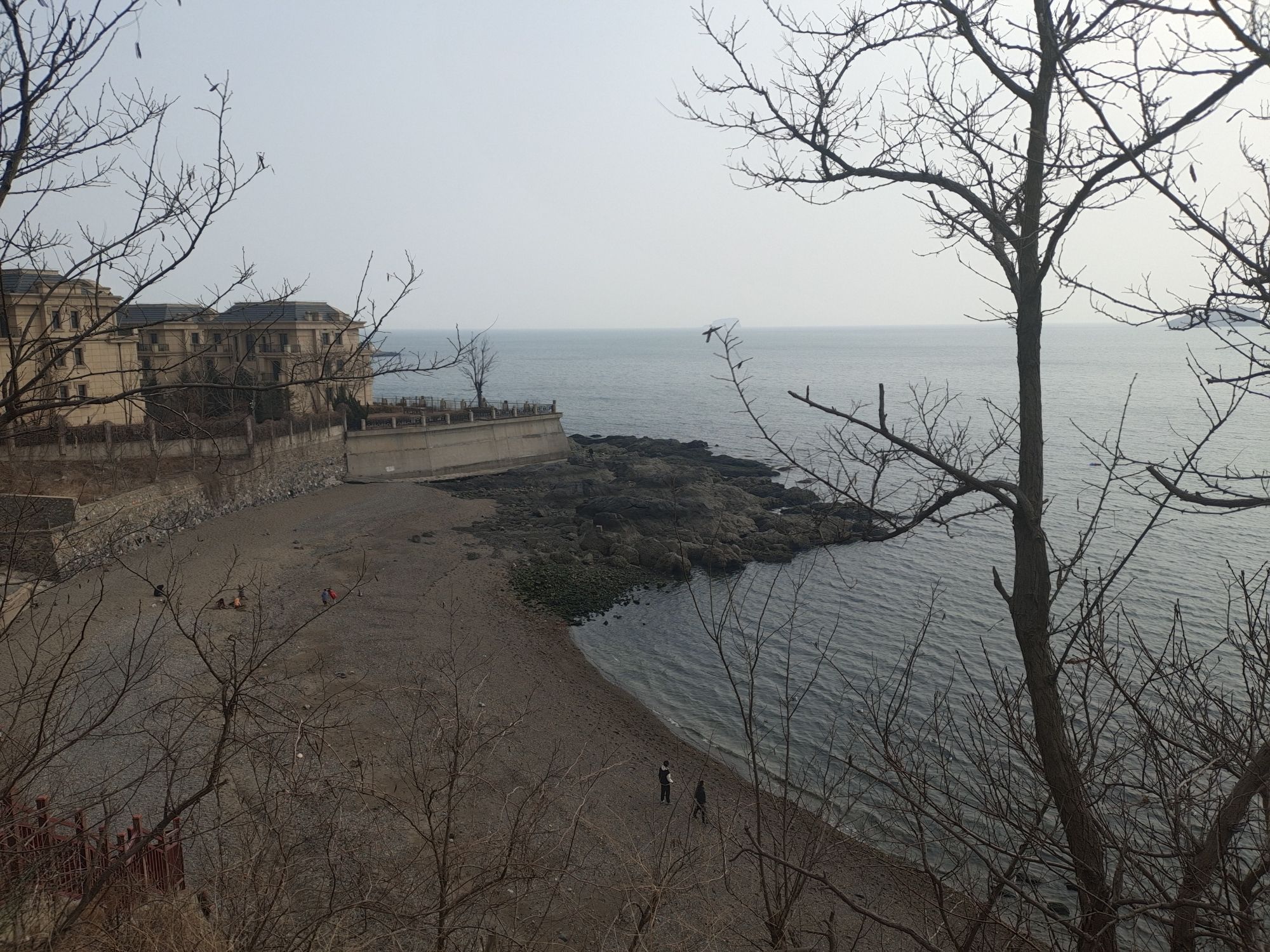 滨海路西段木栈道旅行图片 2