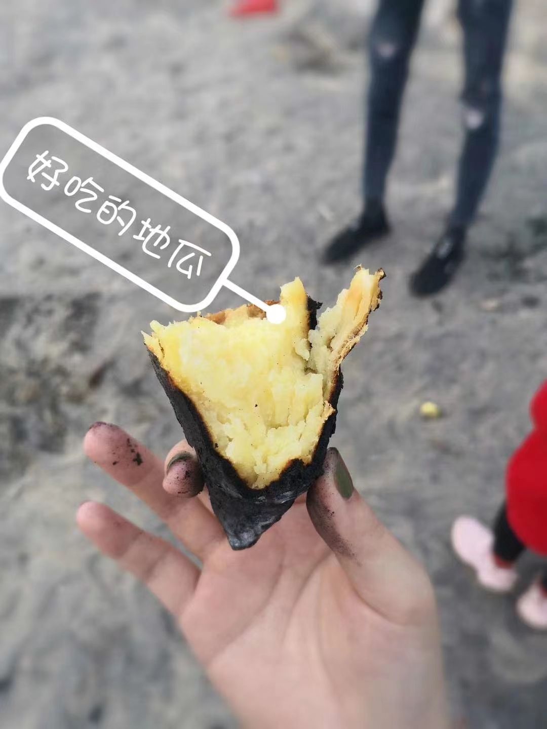 圭峰塔公园旅行图片 2