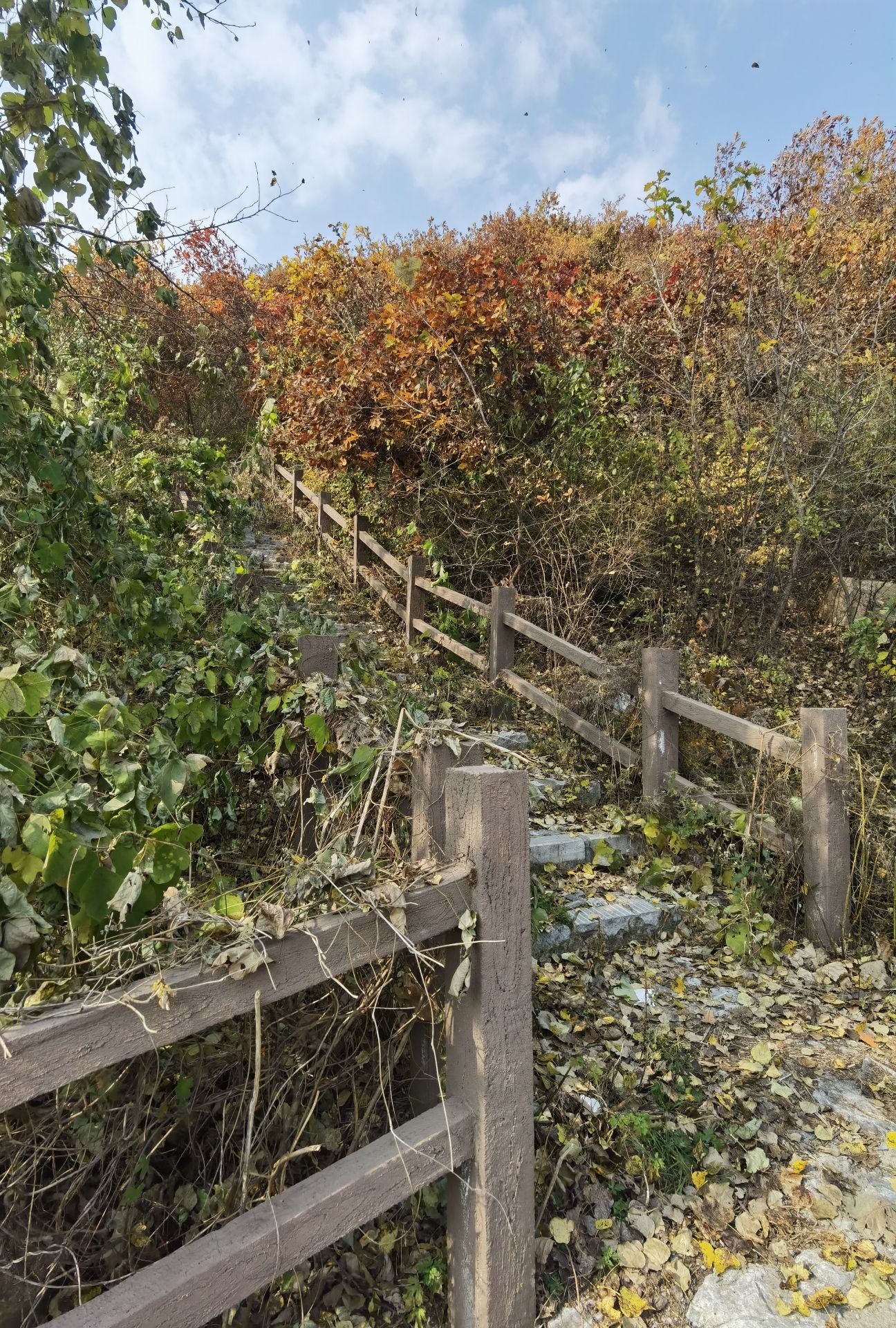 通明山风景区旅行图片 1