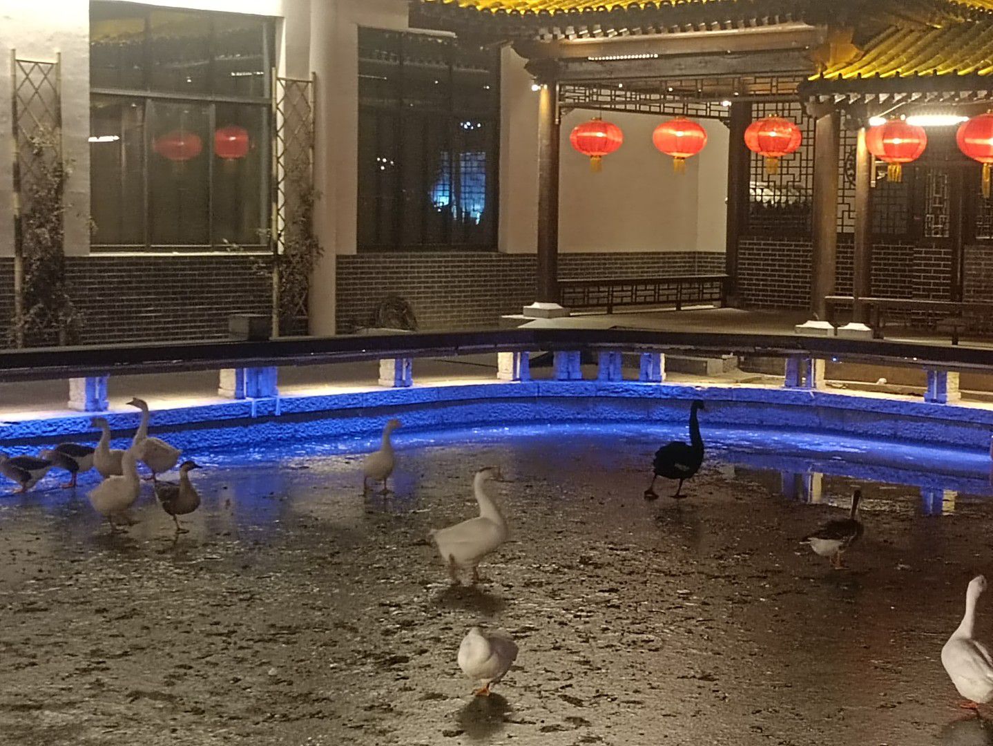 赤水湾古镇旅行图片 3