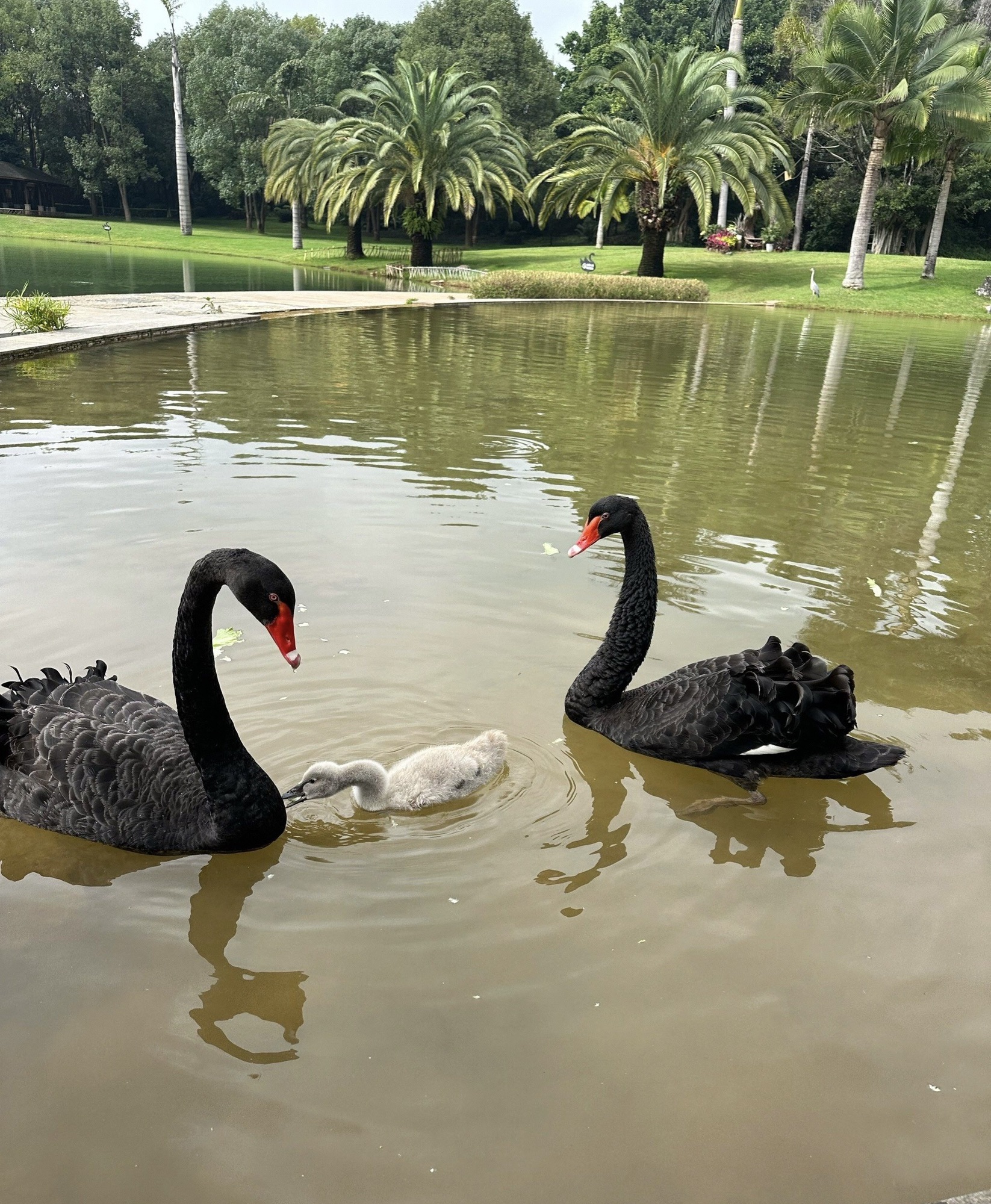 水上公园
