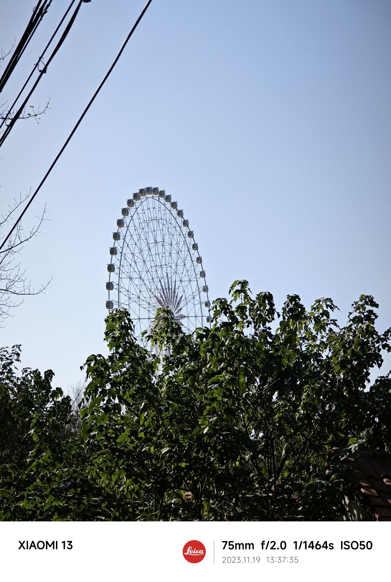 天乐湖旅游度假区旅行图片 3