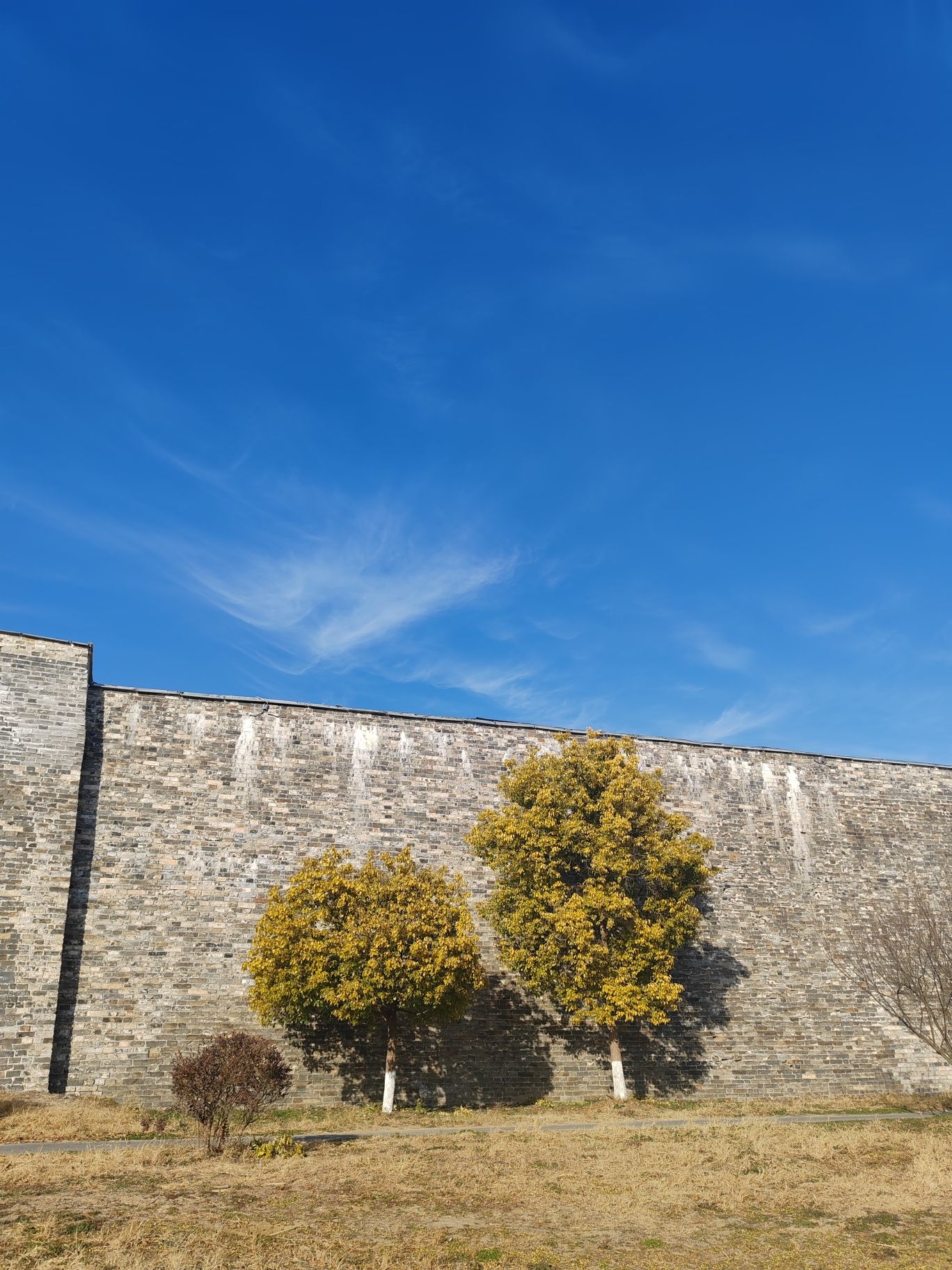 明中都皇故城国家考古遗址公园旅行图片 1