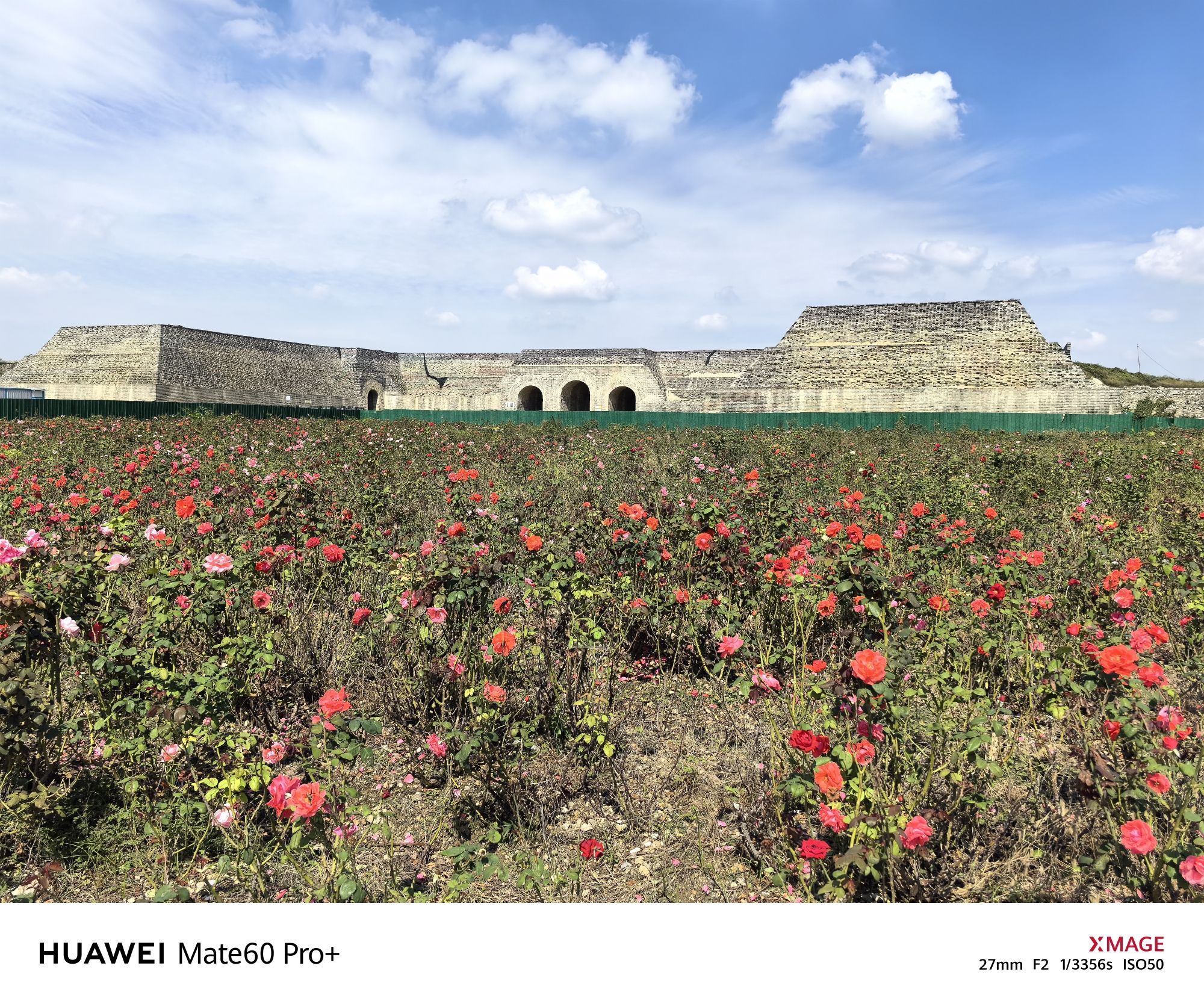 明中都皇故城国家考古遗址公园旅行图片 3