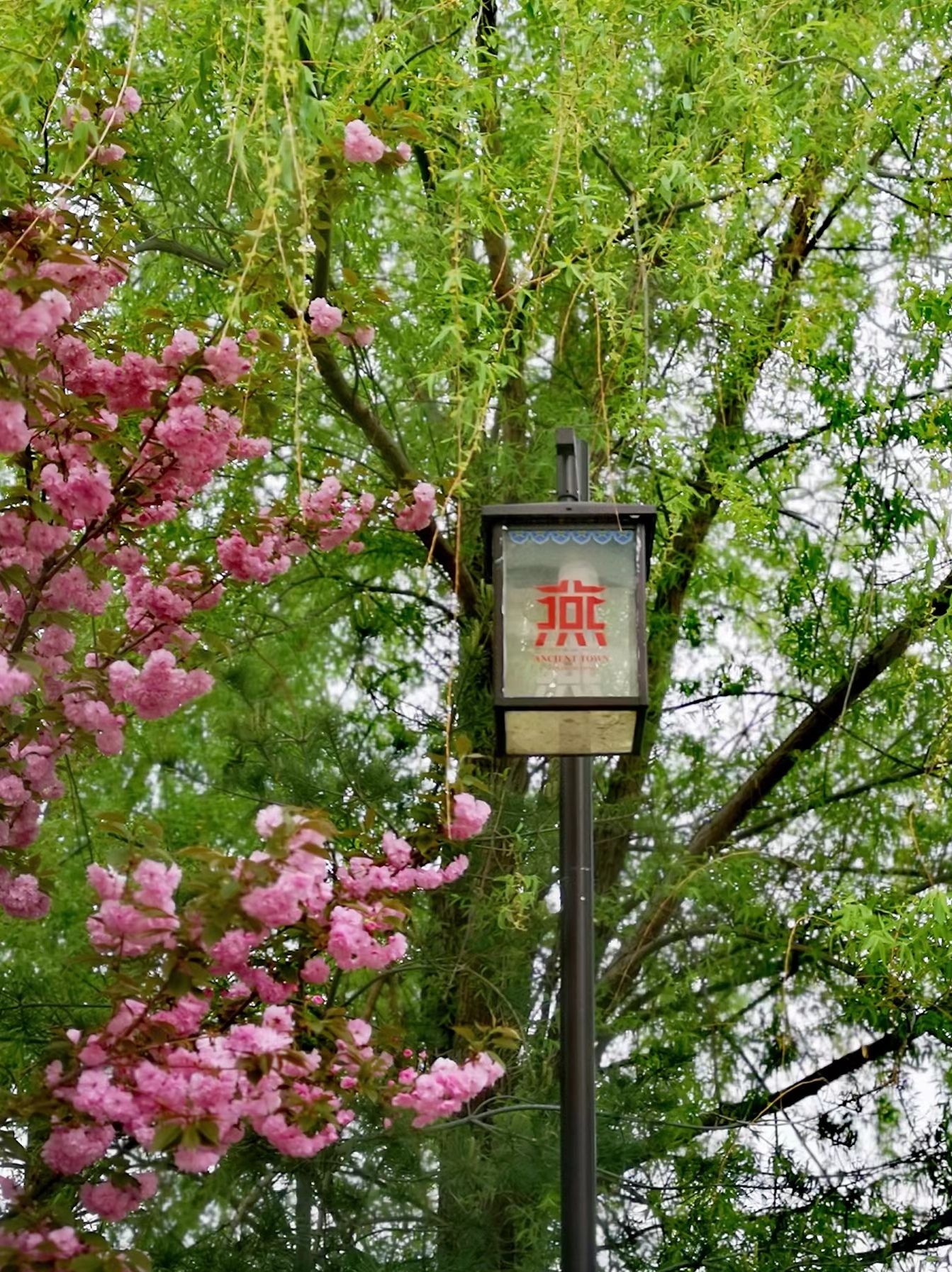 燕都古城旅行图片 2