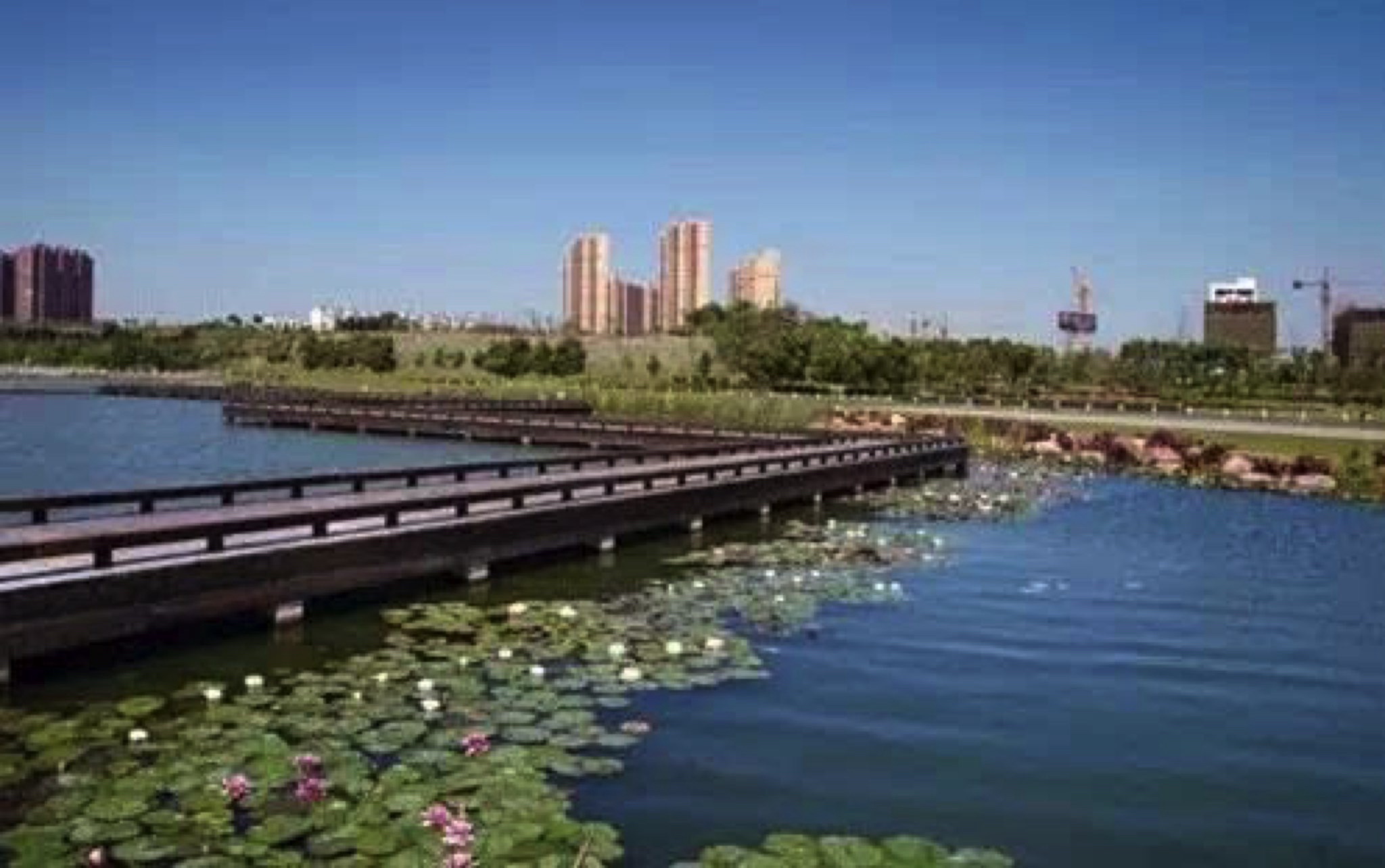 莲花湖公园旅行图片 1