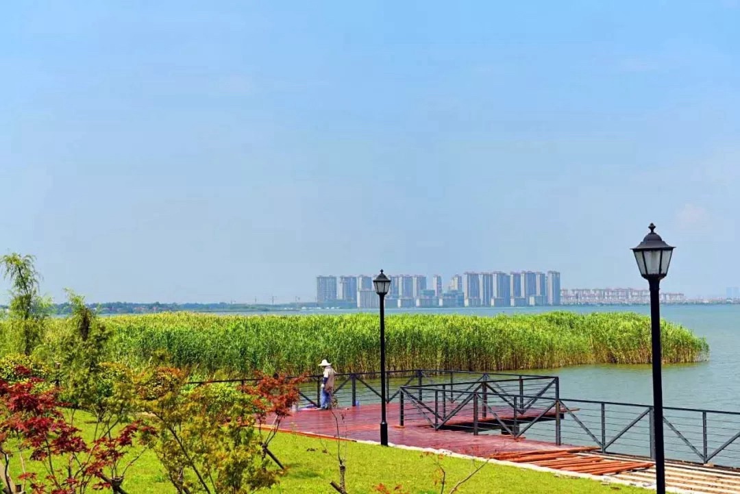 莲花湖公园旅行图片 2