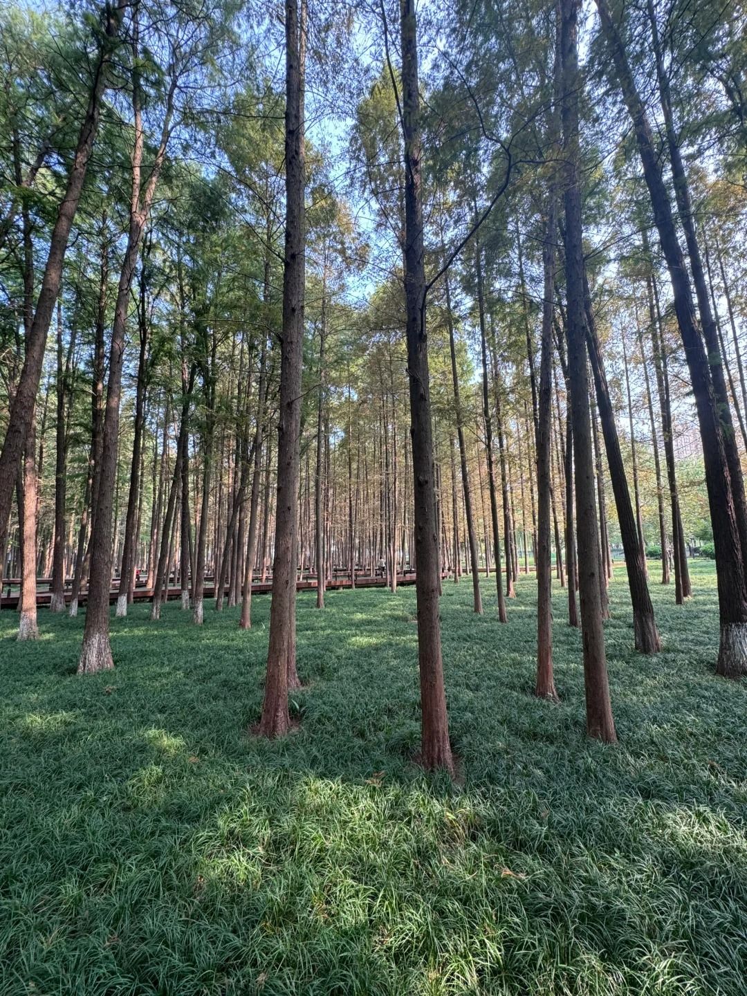 莲花湖公园旅行图片 1