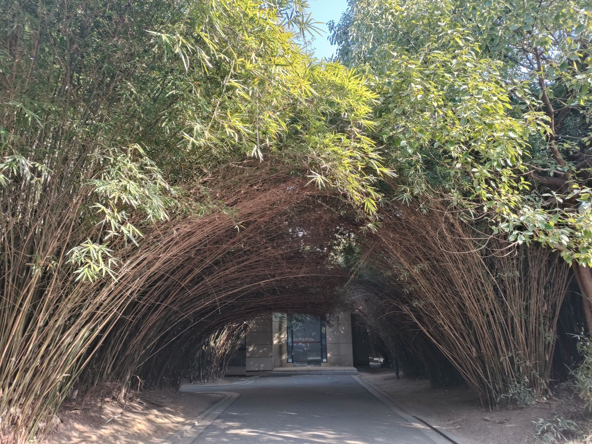 莲花湖公园旅行图片 3