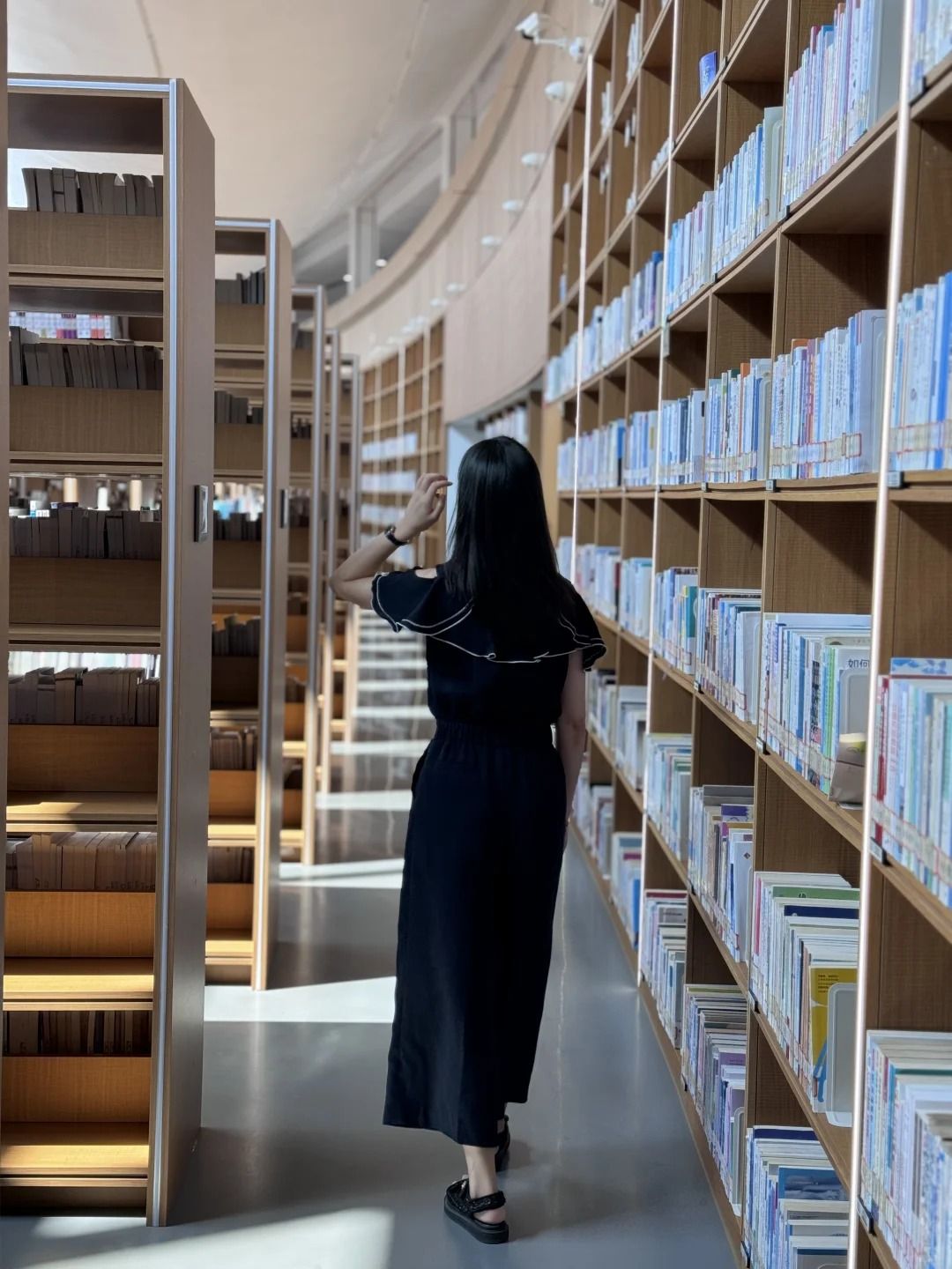 莲花湖公园旅行图片 3