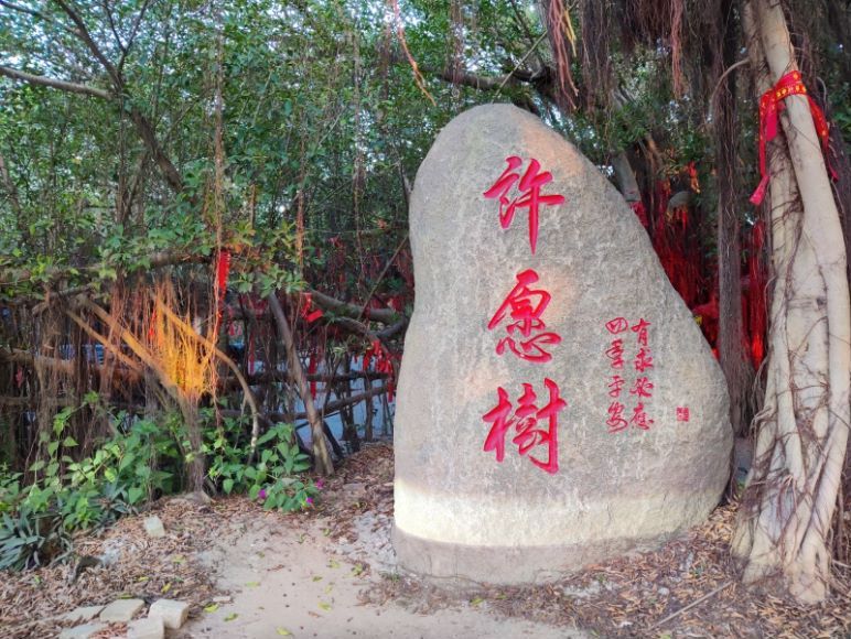 大嶝岛旅行图片 3