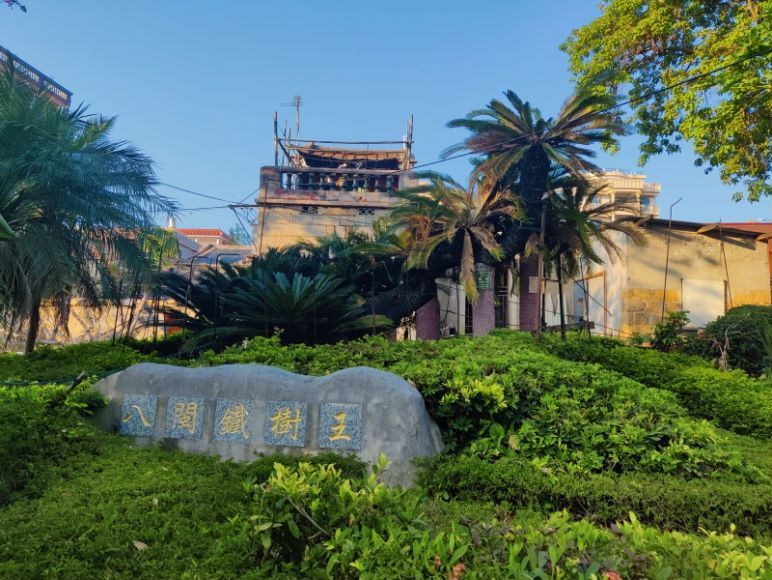 大嶝岛旅行图片 1