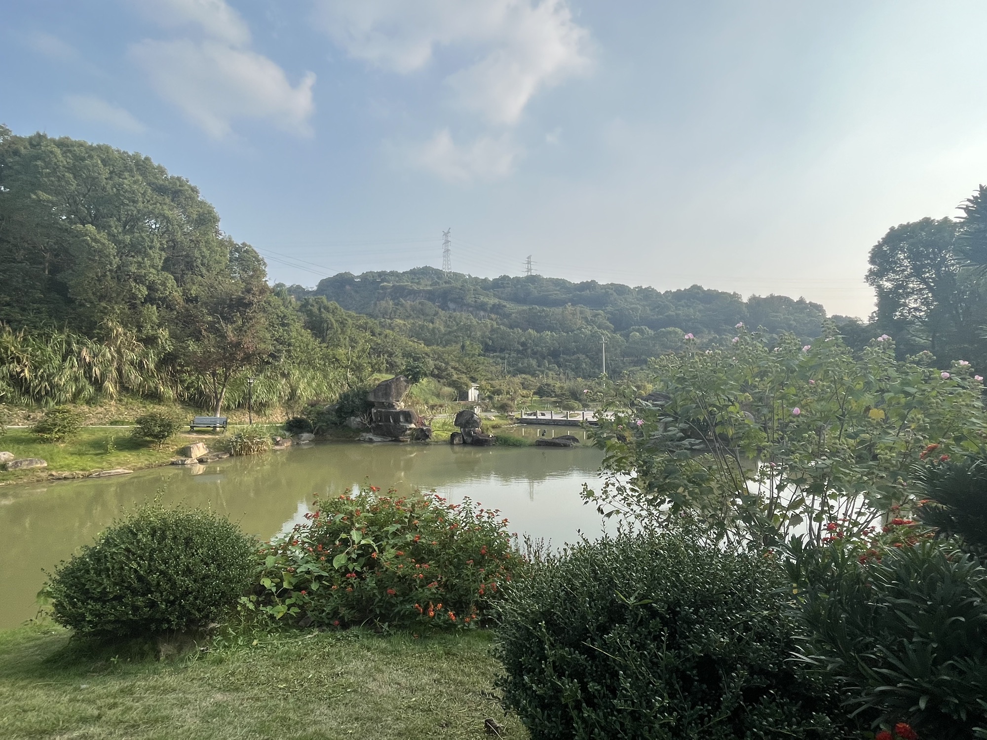 温岭市植物园旅行图片 3