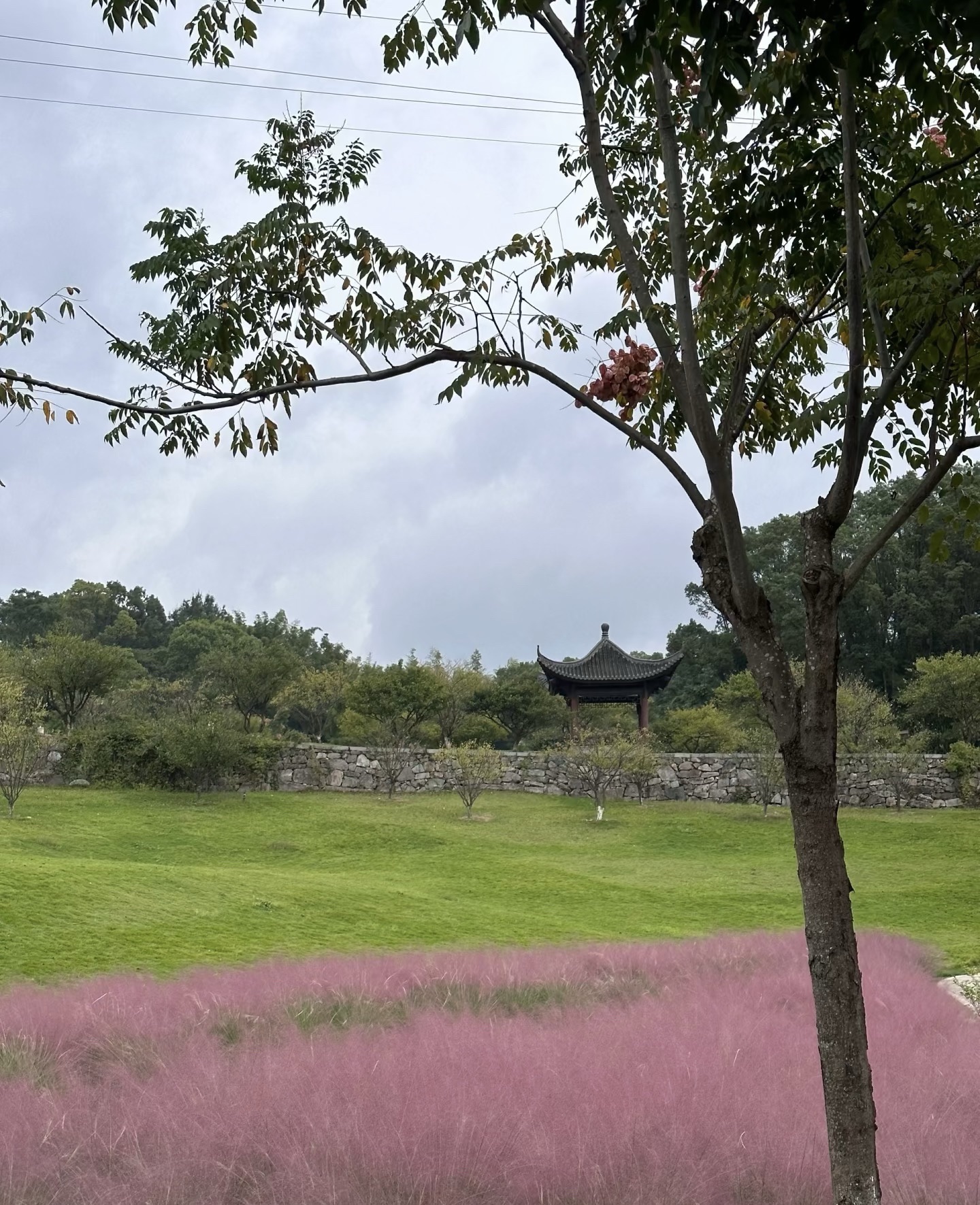 温岭市植物园旅行图片 2