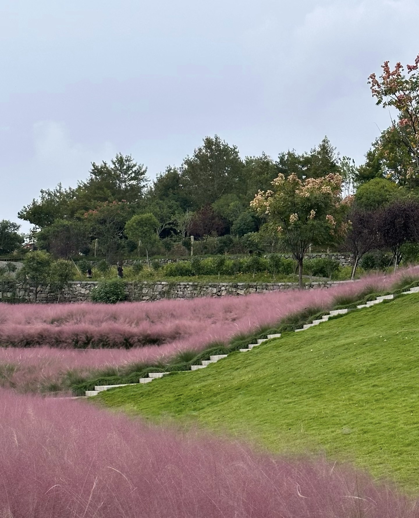 温岭市植物园旅行图片 1