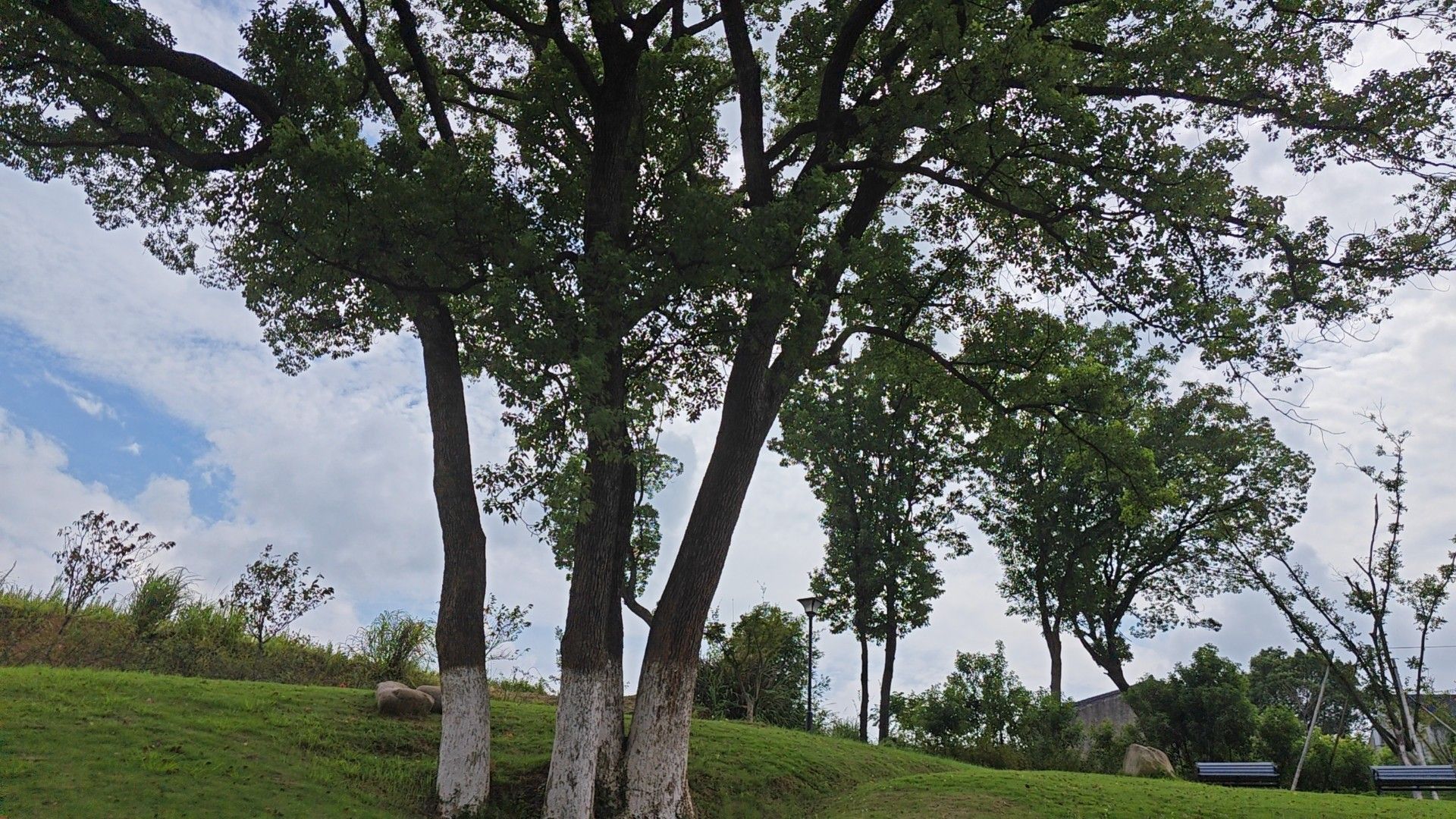温岭市植物园旅行图片 1