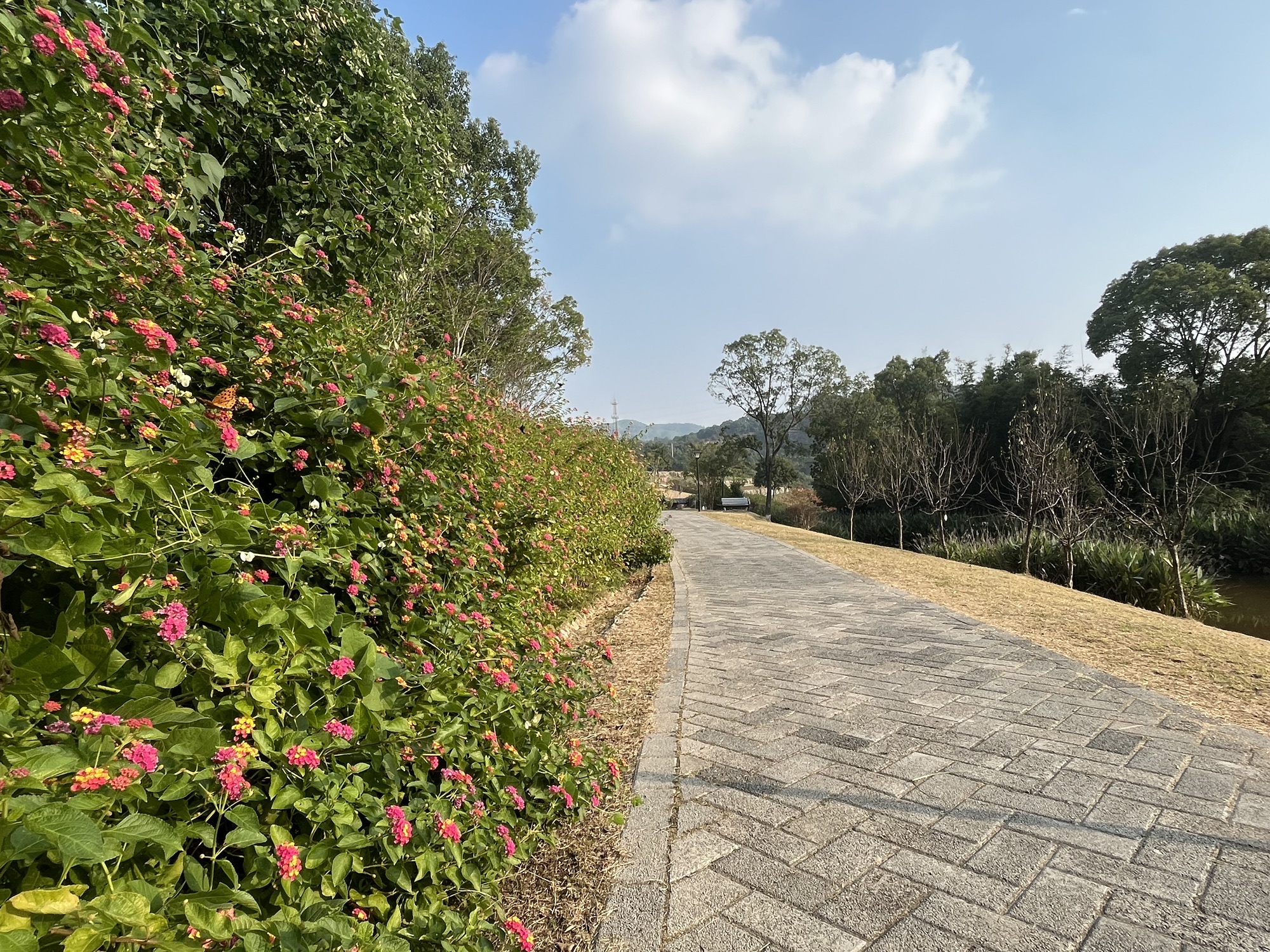 温岭市植物园旅行图片 2