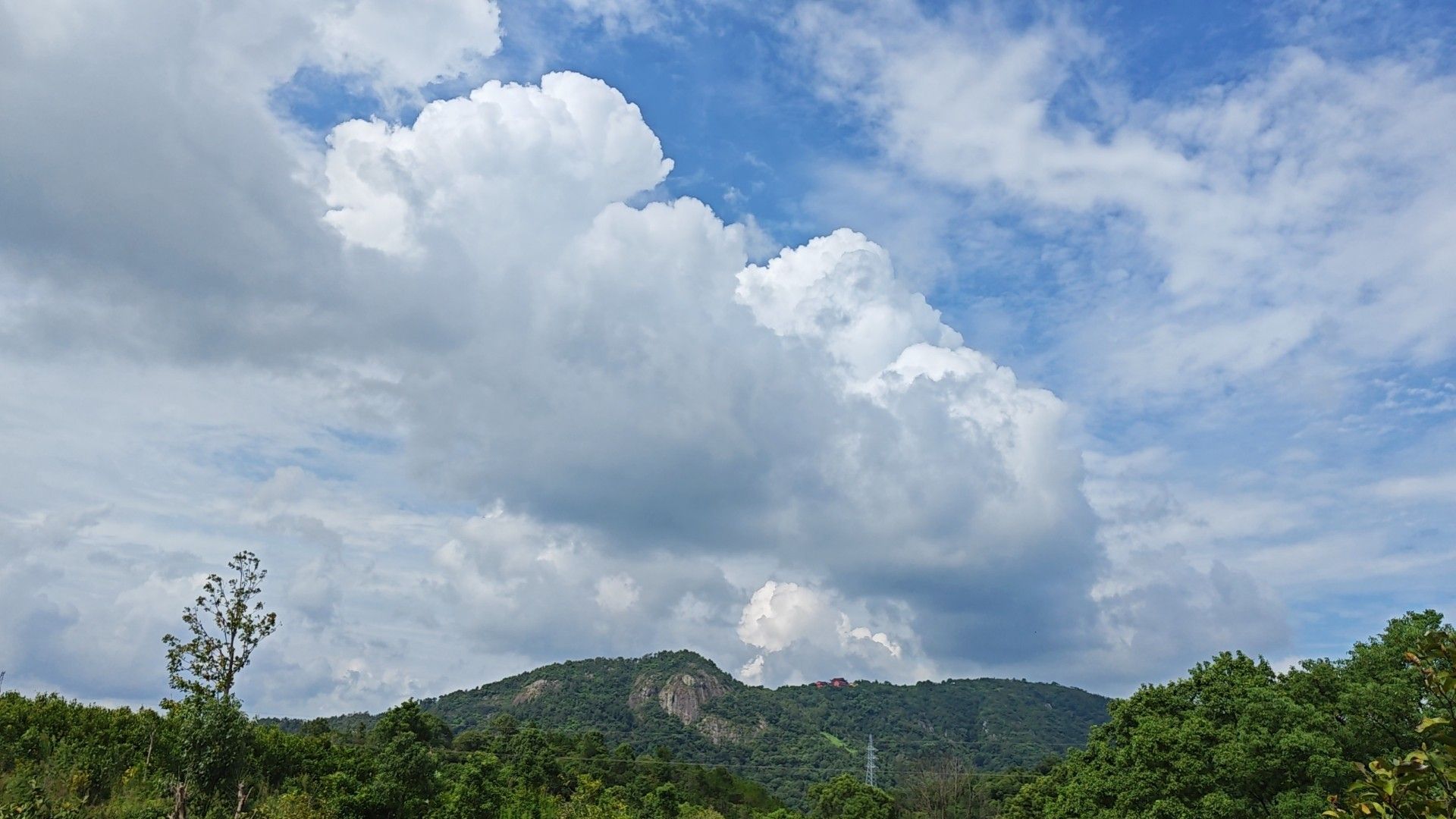 温岭市植物园旅行图片 3