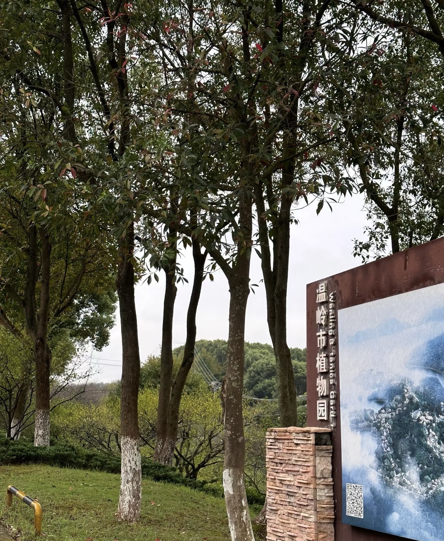 温岭市植物园旅行图片 3