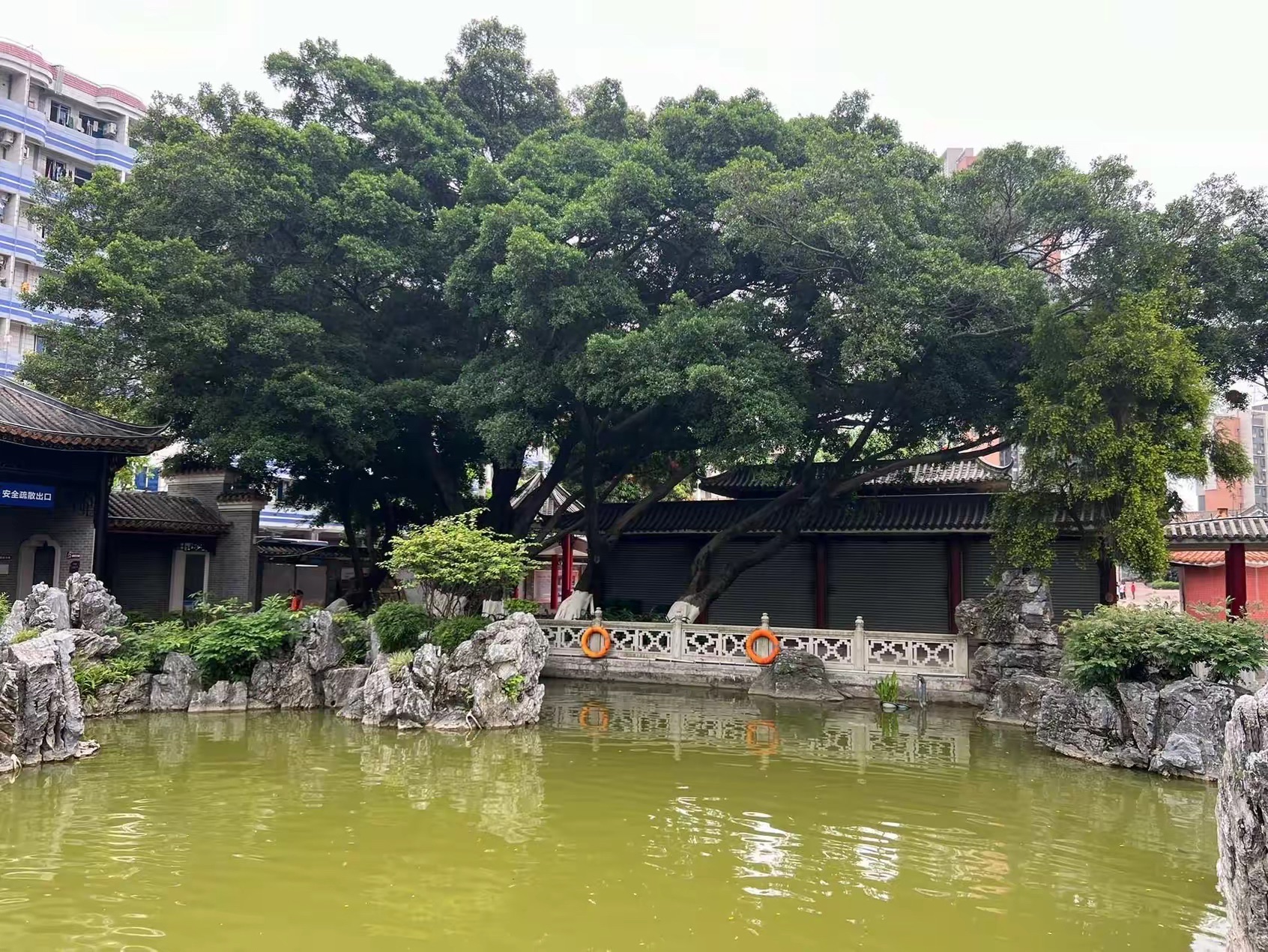 白莲公园旅行图片 1