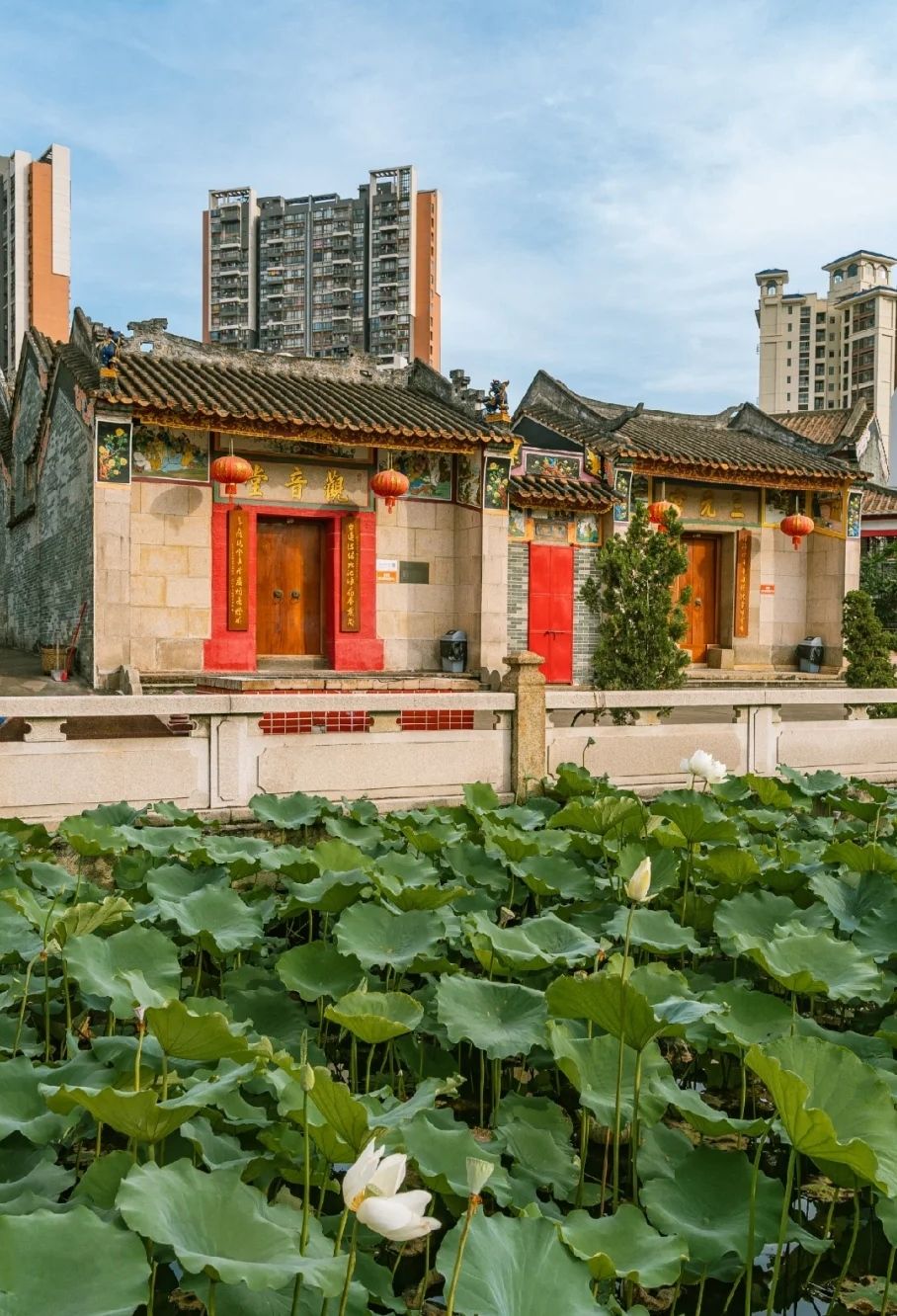白莲公园旅行图片 2