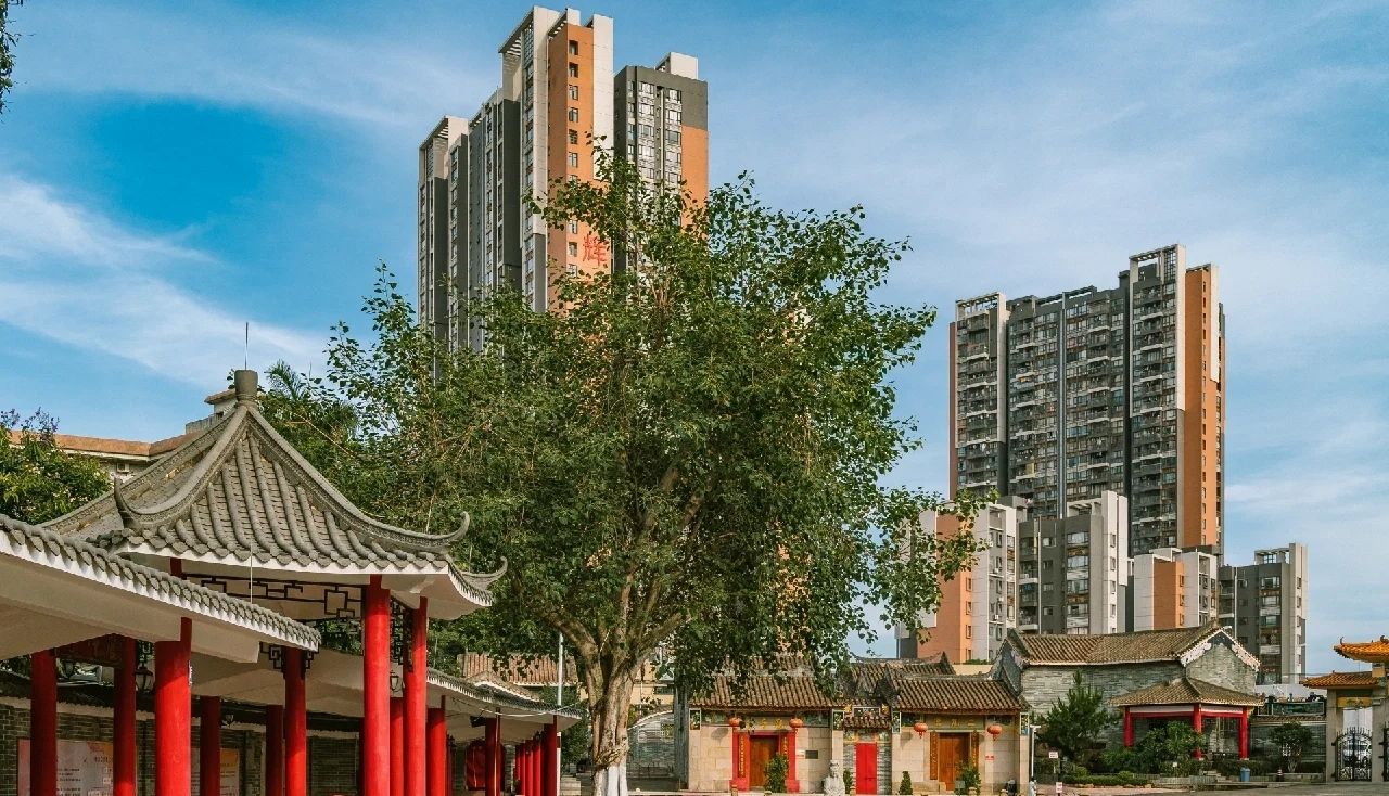 白莲公园旅行图片 3
