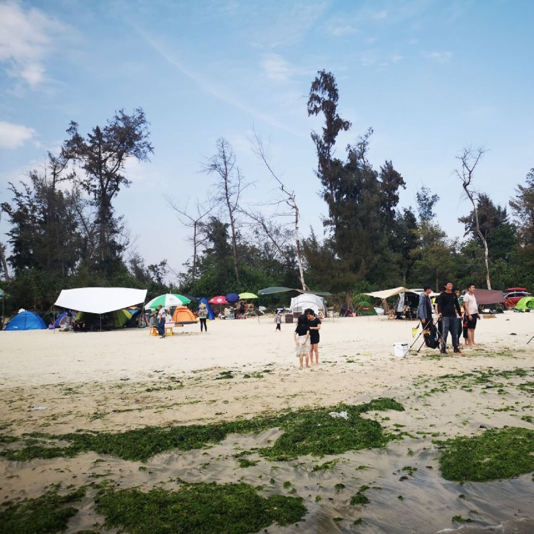 碧海湾景区旅行图片 3