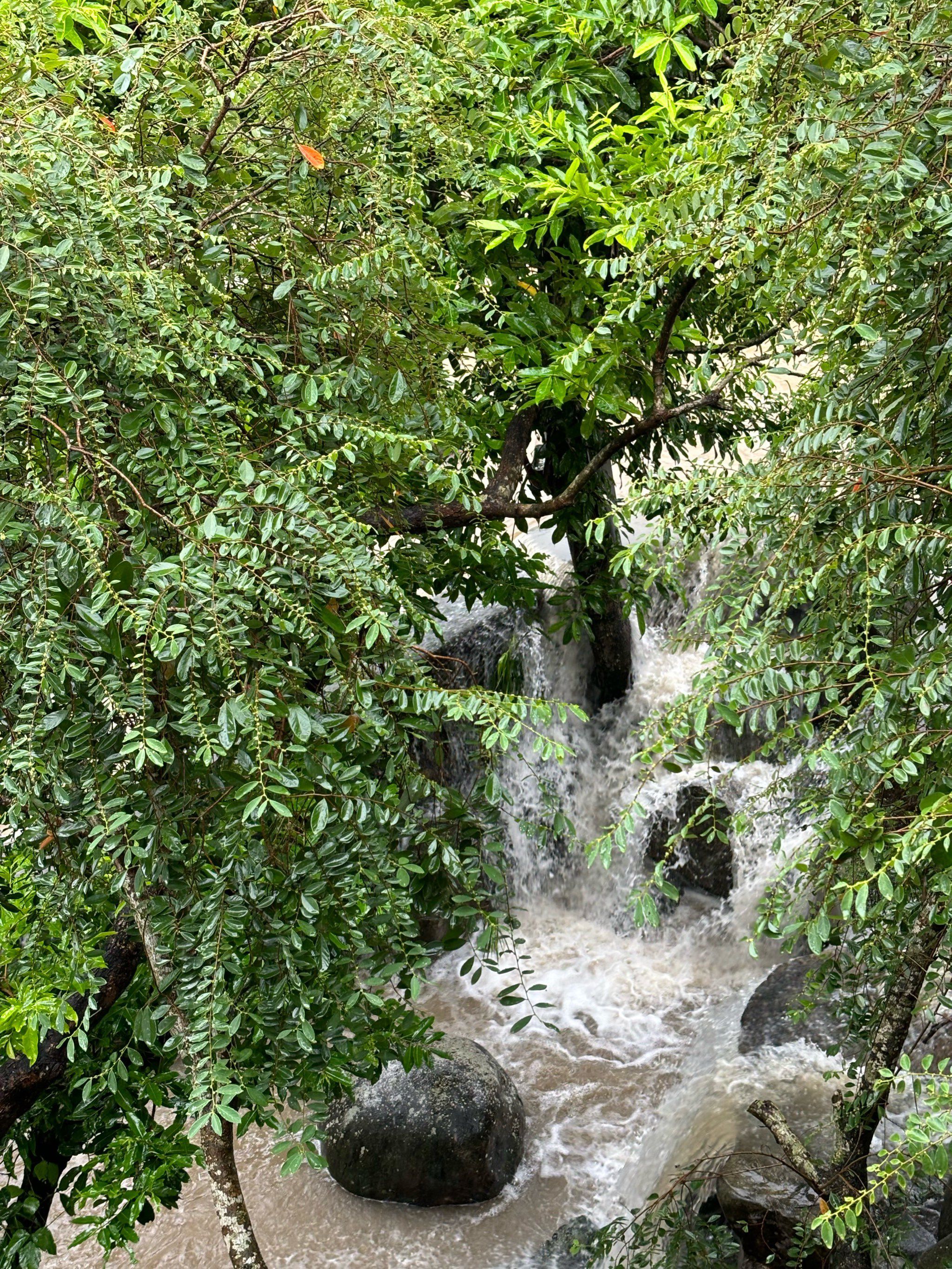 碧海湾景区旅行图片 2