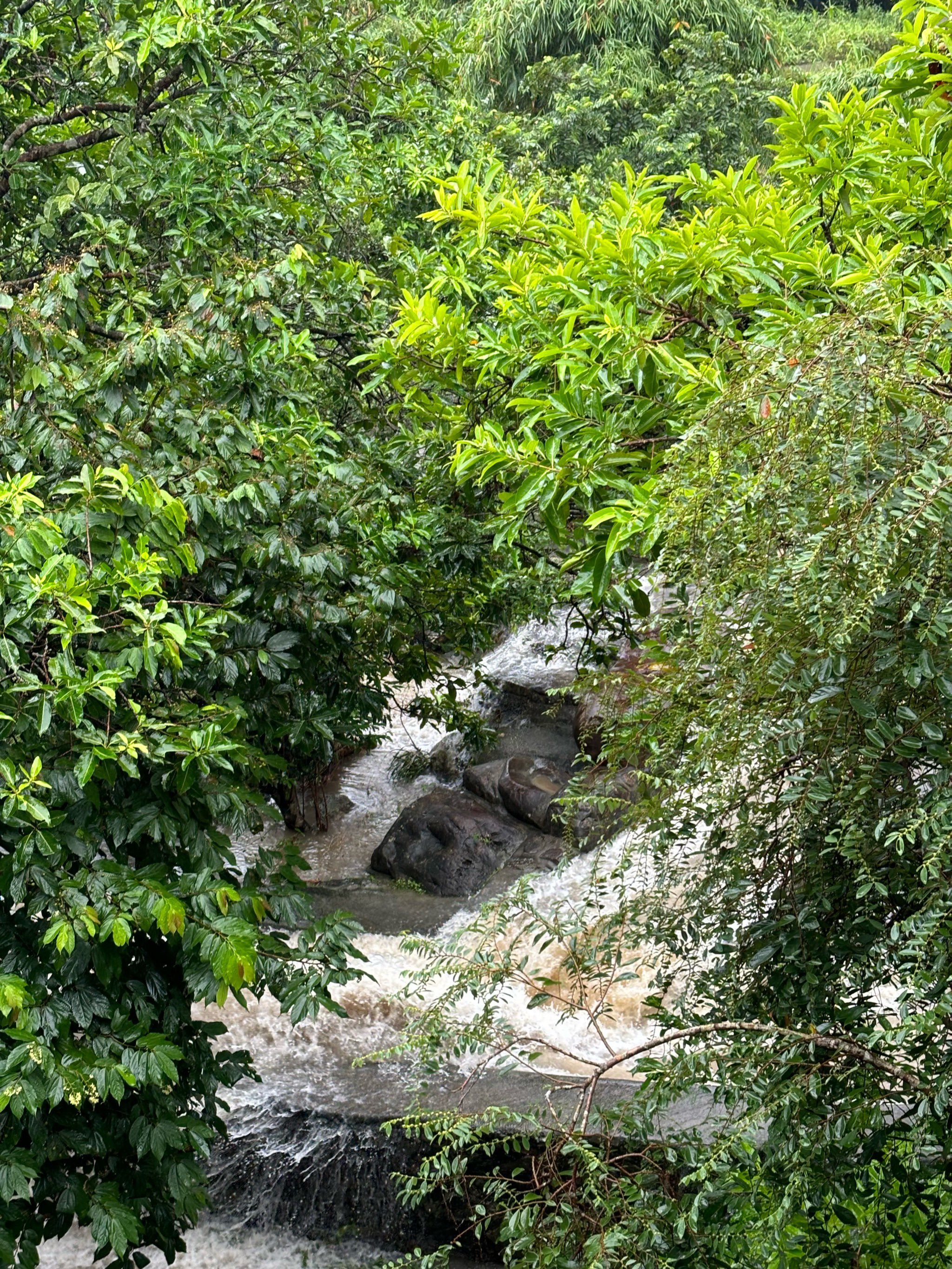 碧海湾景区旅行图片 1