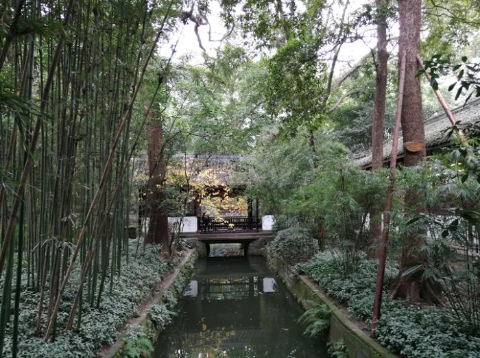 绿竹风情园旅行图片 1