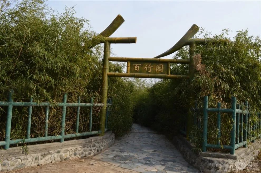 绿竹风情园旅行图片 2