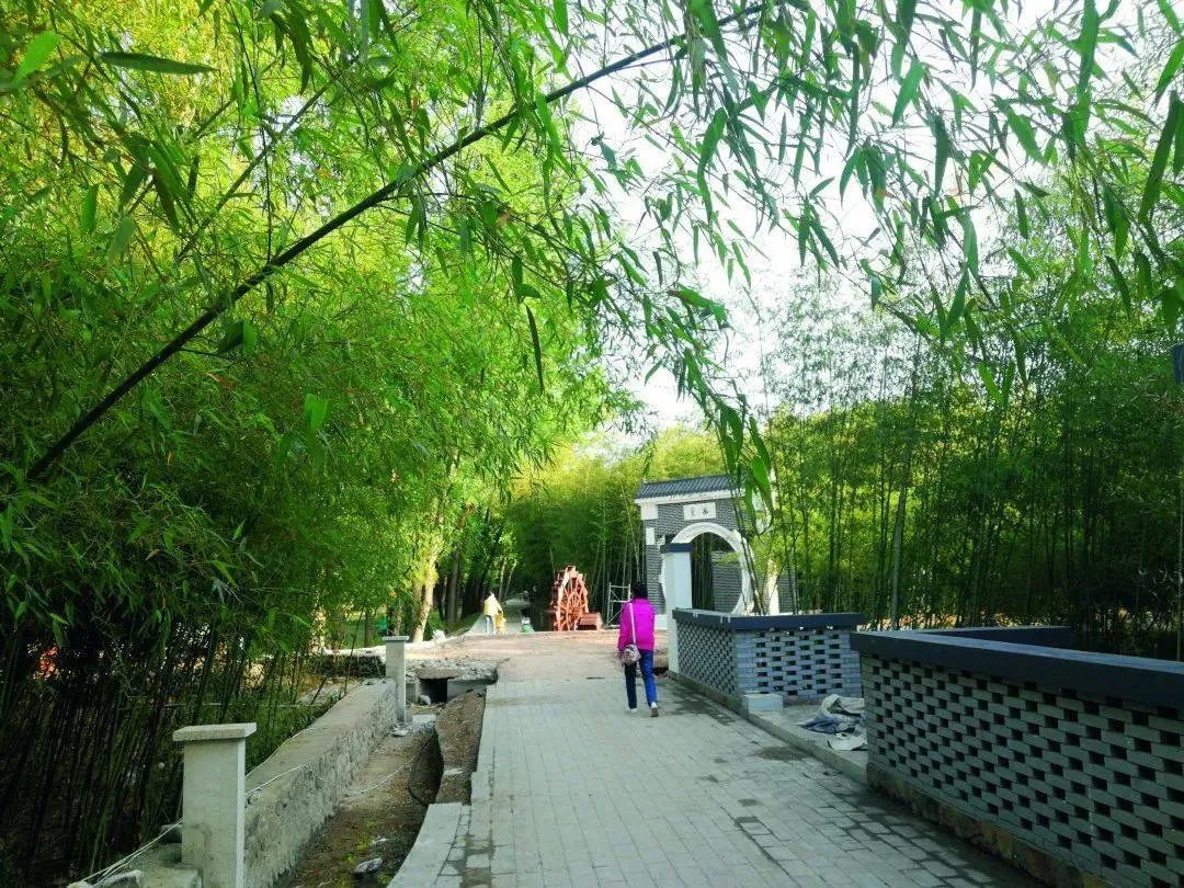 绿竹风情园旅行图片 3