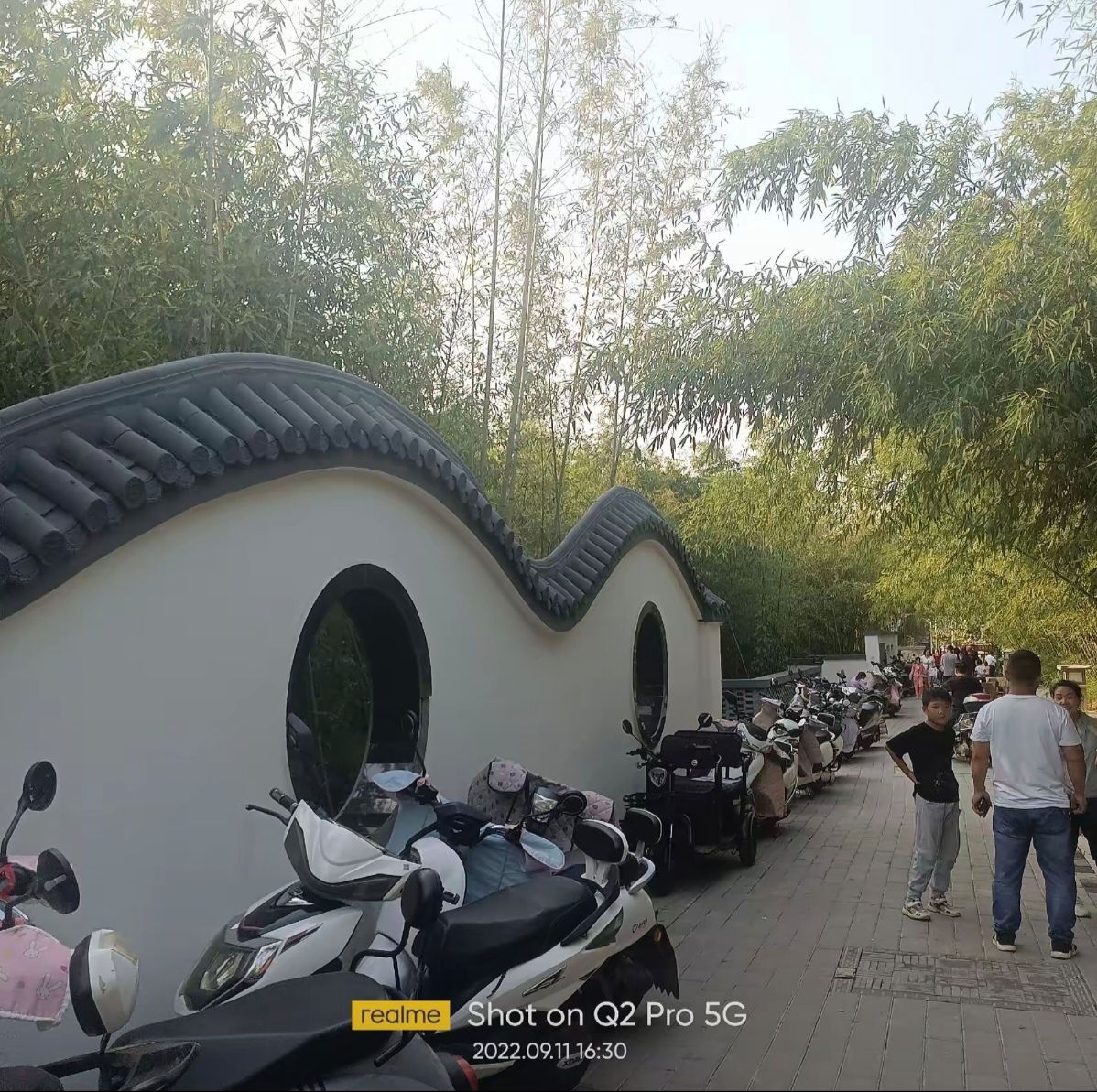 绿竹风情园旅行图片 3