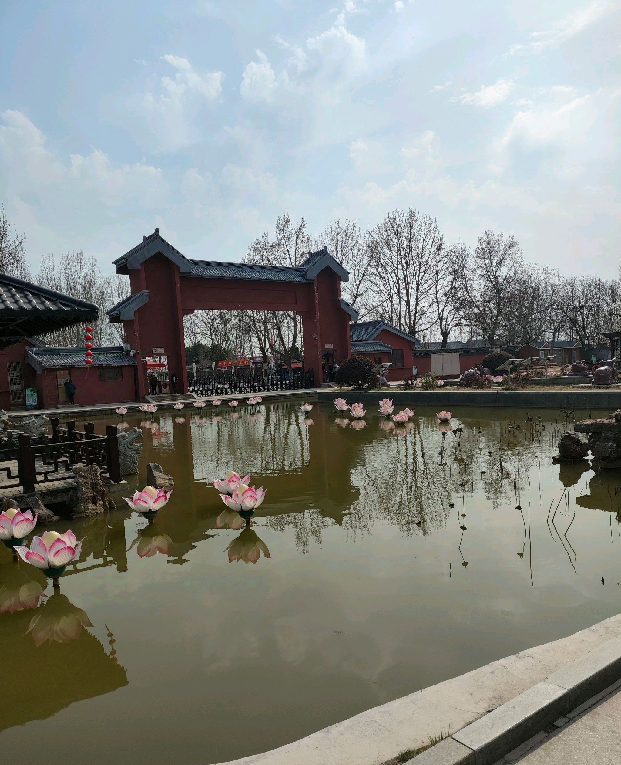 微山湖红荷水镇旅行图片 3
