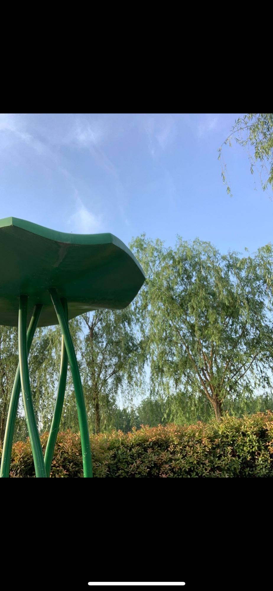 微山湖红荷水镇旅行图片 2