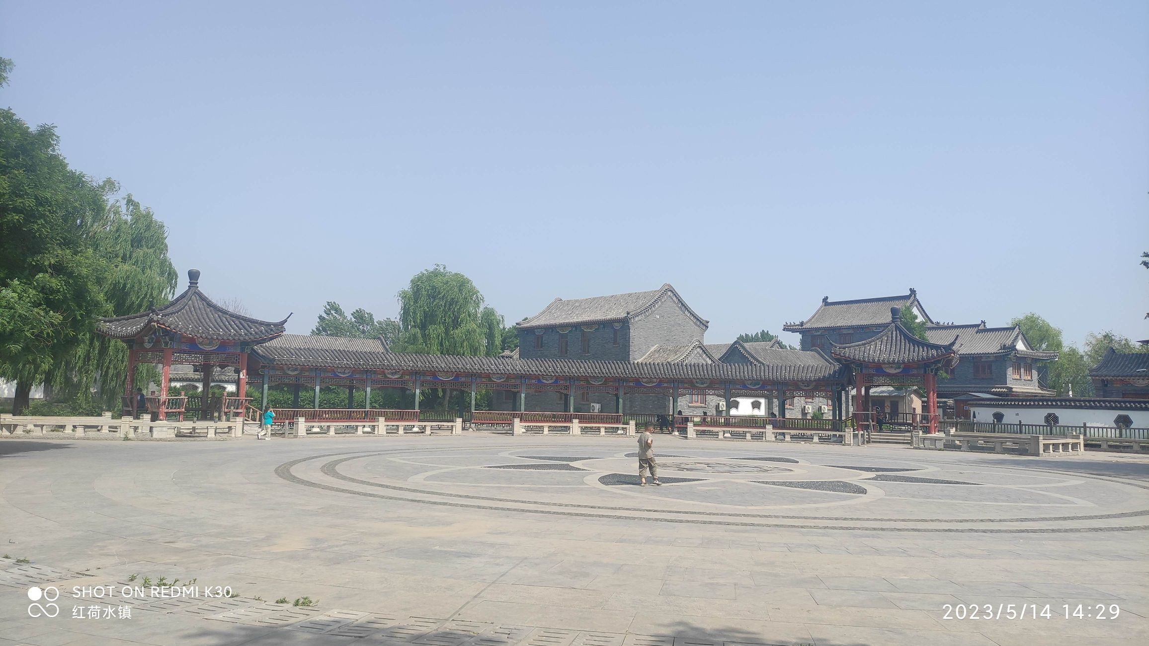微山湖红荷水镇旅行图片 1