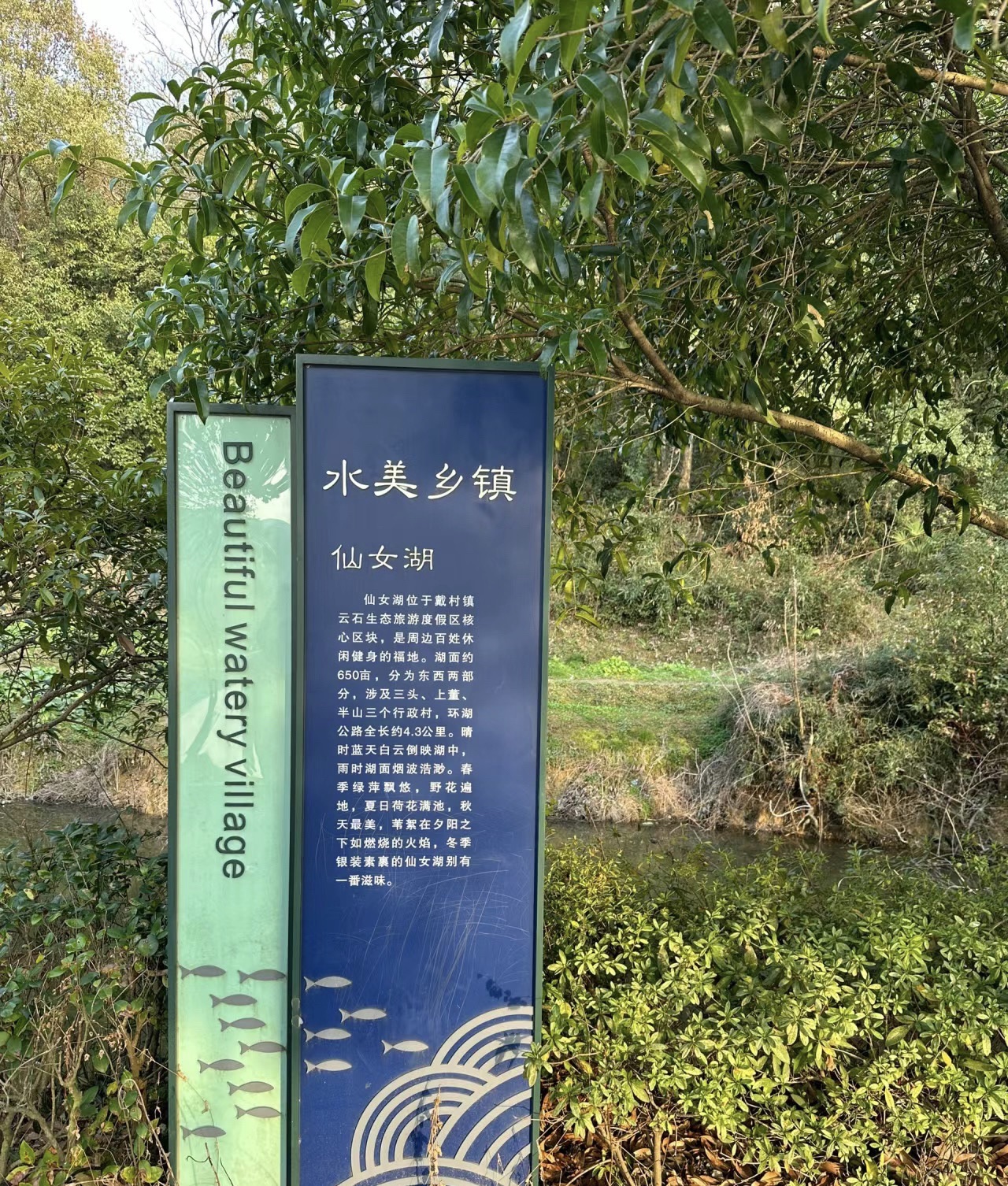 戴村仙女湖景区