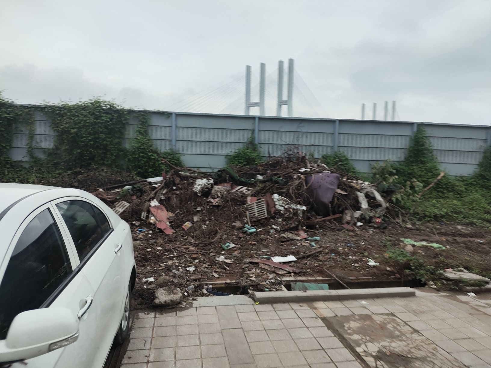 重庆巴滨城市公园旅行图片 1